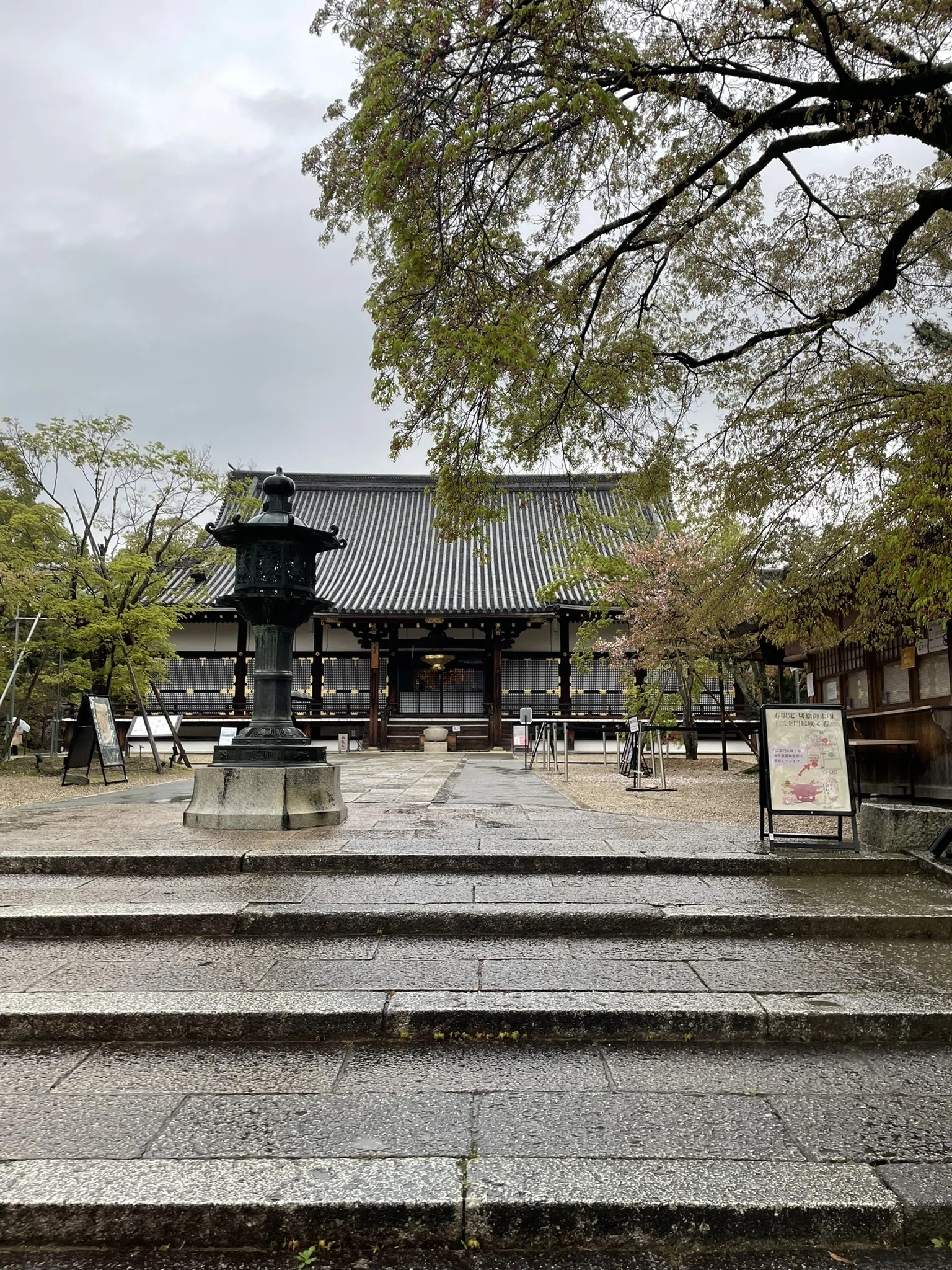 【真作】仁和寺門跡40世/花桝智勝/寿/一文字横物/掛軸☆宝船☆Y-675　JM 仁和寺・金堂早朝貸切拝観＋御室桜を満喫｜EX旅先予約で行く特別な朝