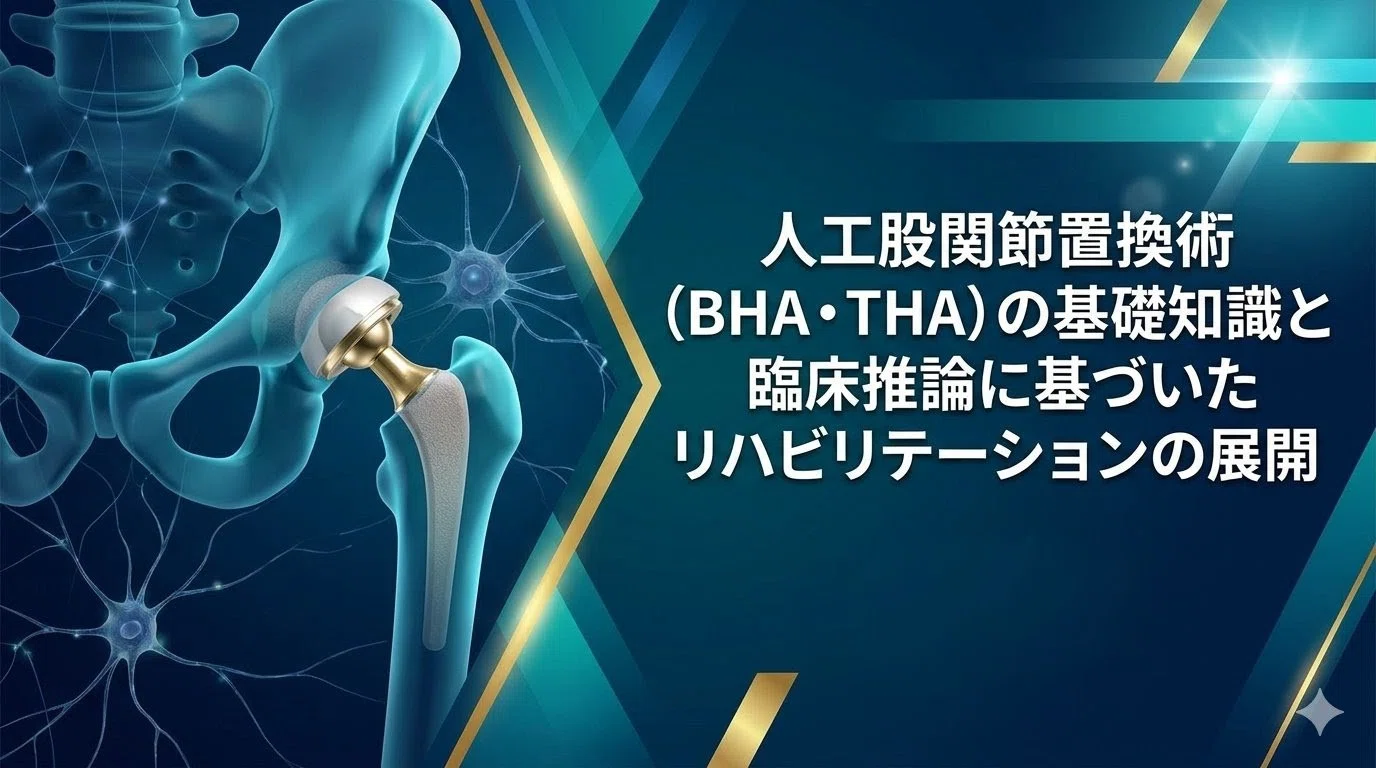 BHA・THA術後リハビリテーション完全ガイド｜アプローチ別脱臼防止と