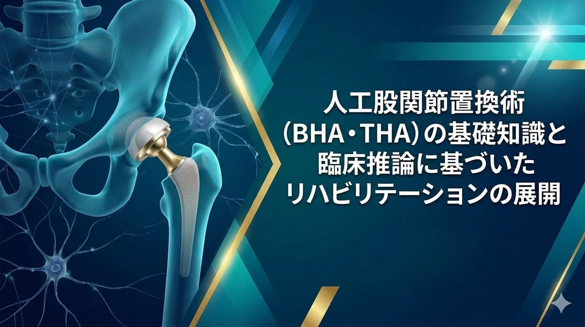 BHA・THA術後リハビリテーション完全ガイド｜アプローチ別脱臼防止と