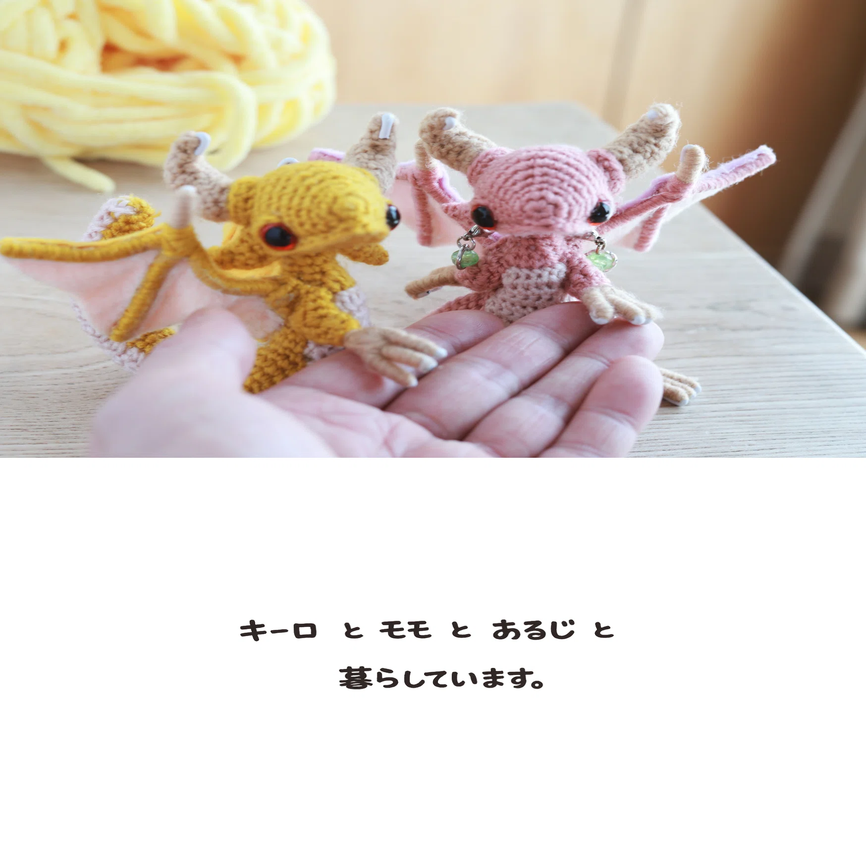 あみぐるみドラゴン写真絵本【キーロとイトノクニ】｜タンゴRyu