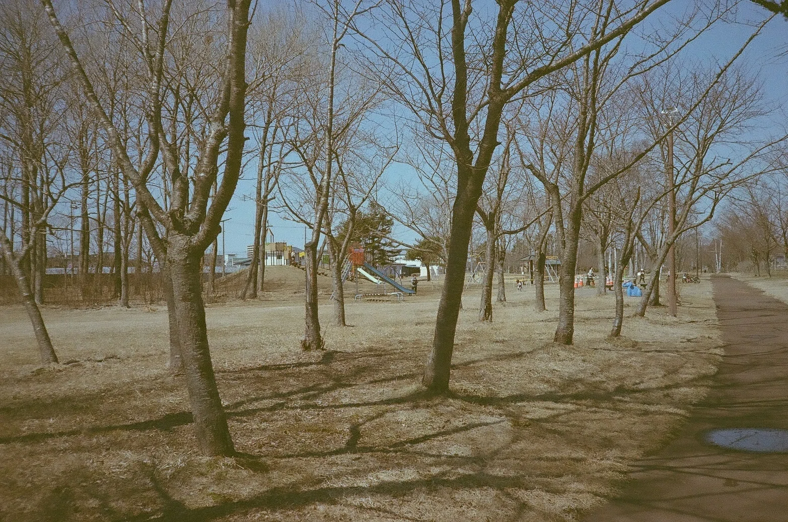 KONICA C35 FLASHMATIC 実写作例あり フォト）KONICA C35 flashmatic 作例集 | デジタル試しうち