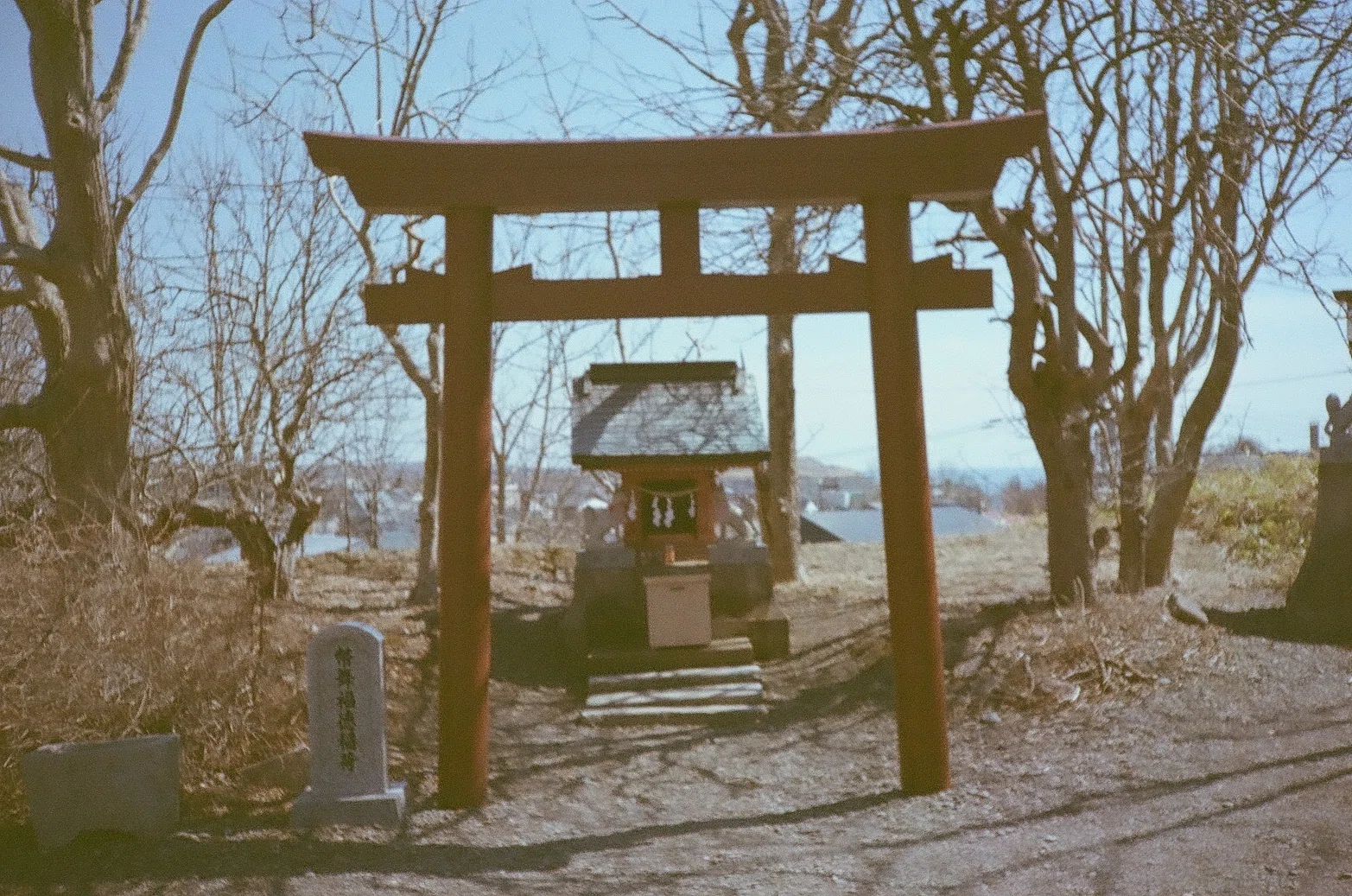 KONICA C35 FLASHMATIC 実写作例あり フォト）KONICA C35 flashmatic 作例集 | デジタル試しうち