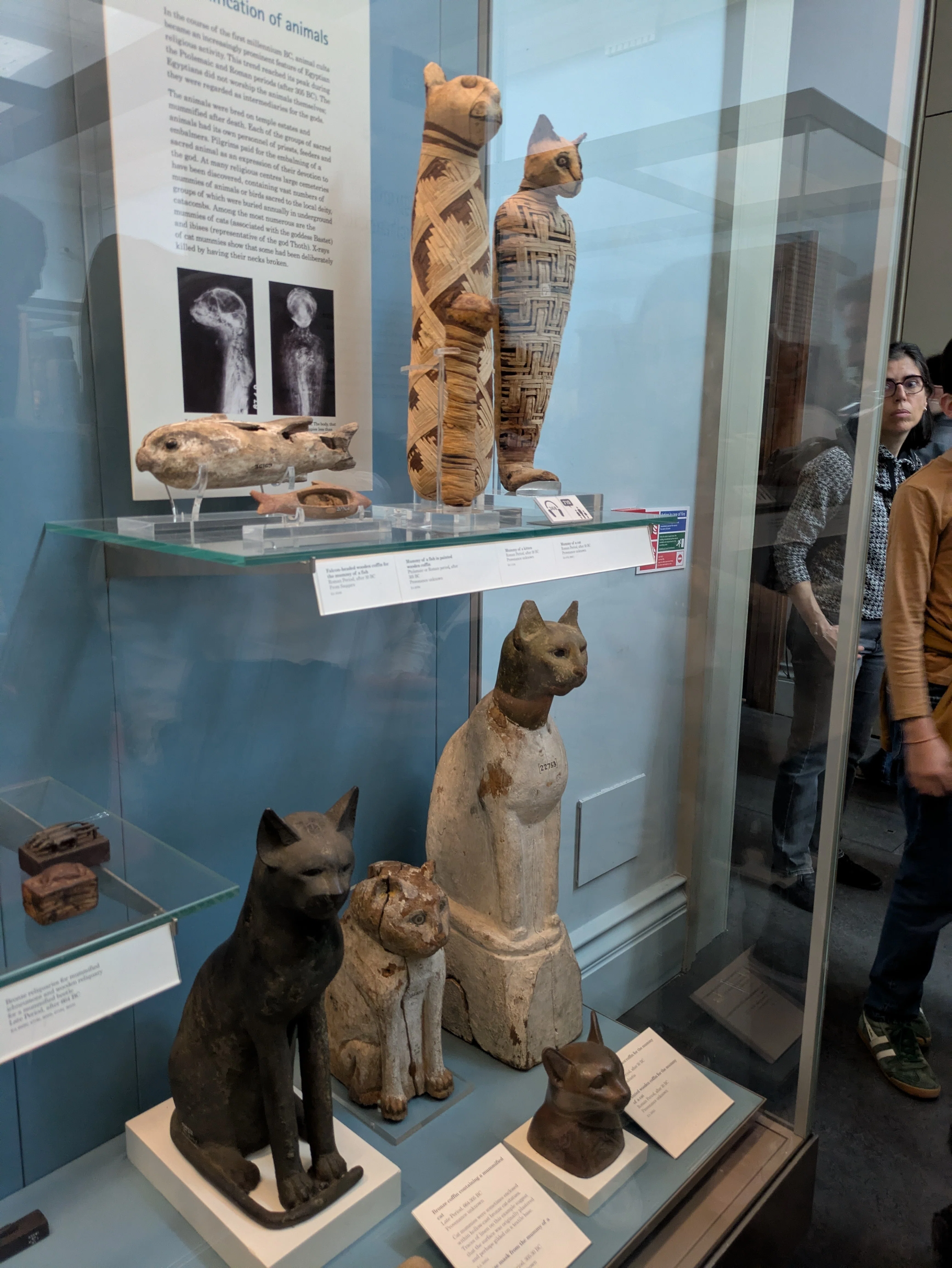 🇬🇧 【体験レポ】大英博物館を賢く回るコツと主要展示一覧｜乃子