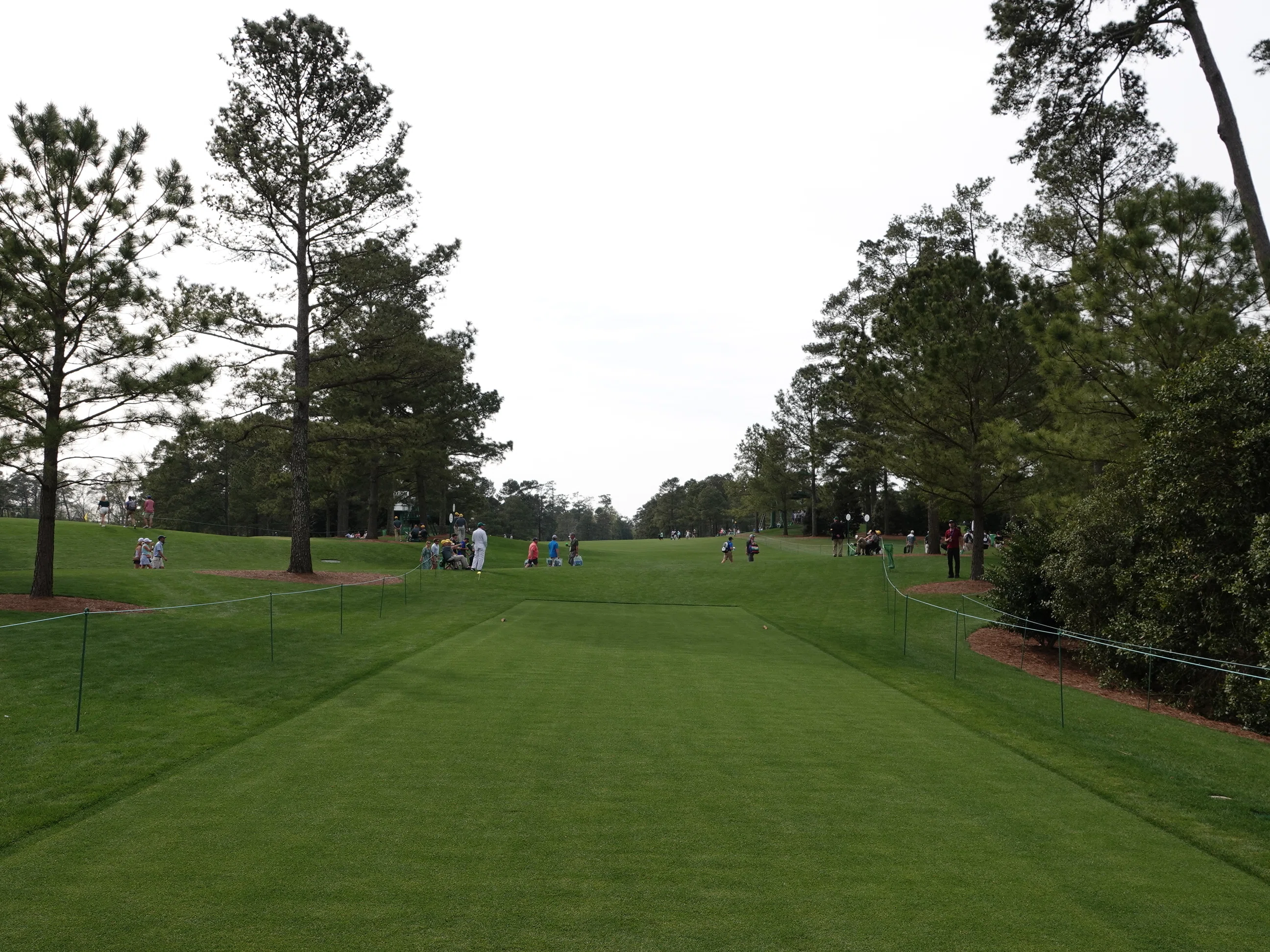 マスターズ・オーガスタナショナルゴルフクラブ 15番ホール（Par 5