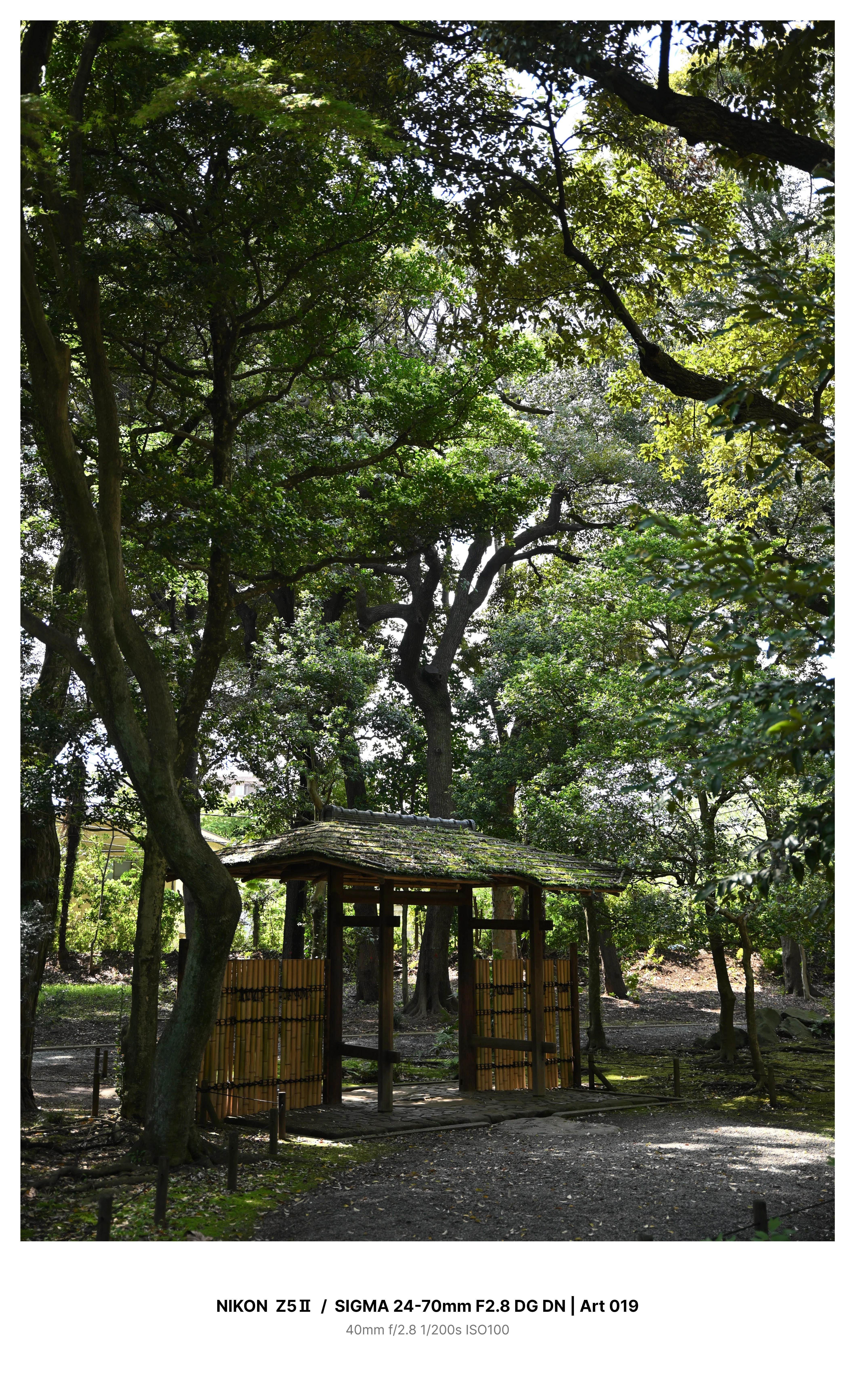 東京・旧古河庭園でカメラさんぽ Z5Ⅱ｜kenken