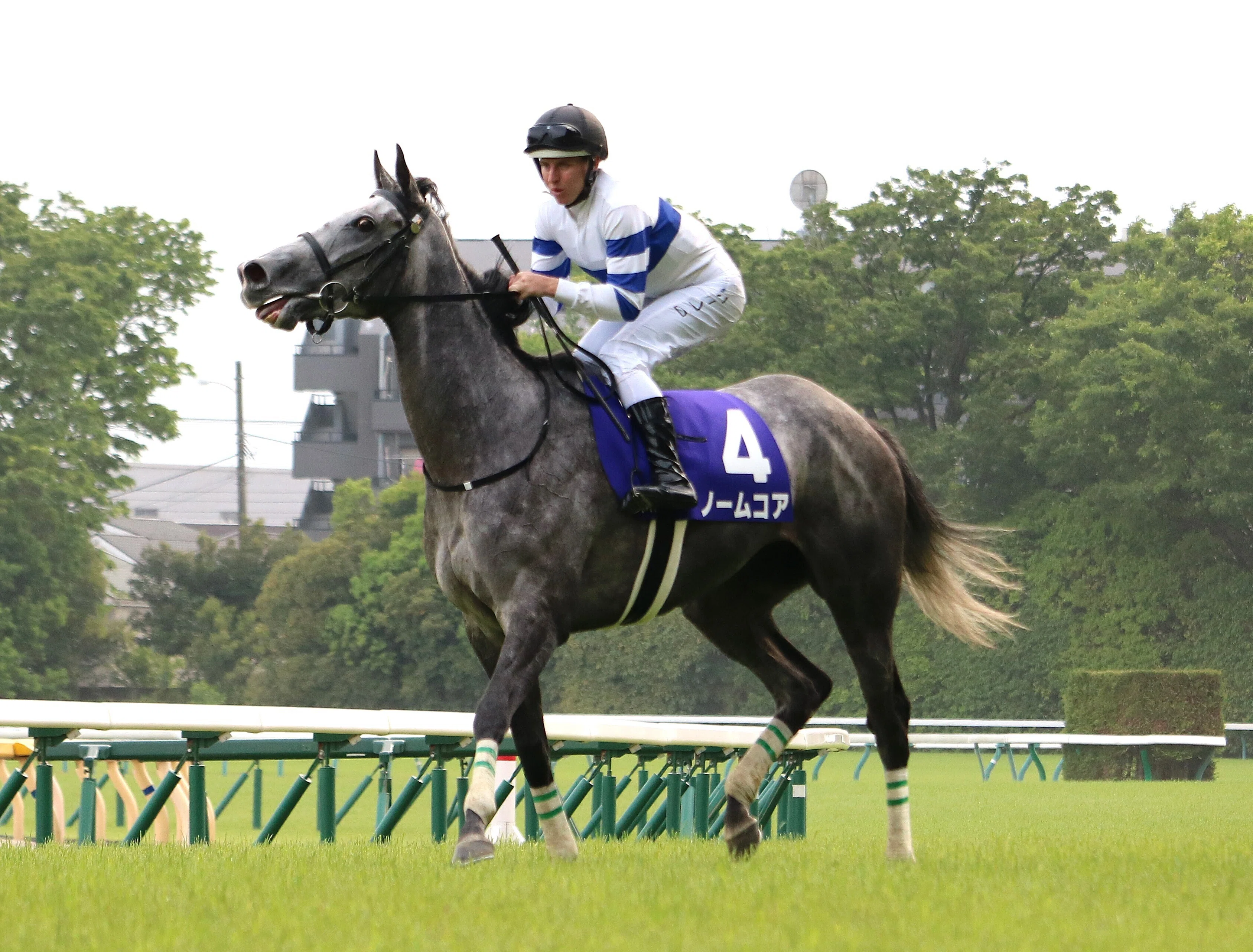2強（？）の桜花賞で思ったこと｜平松さとし