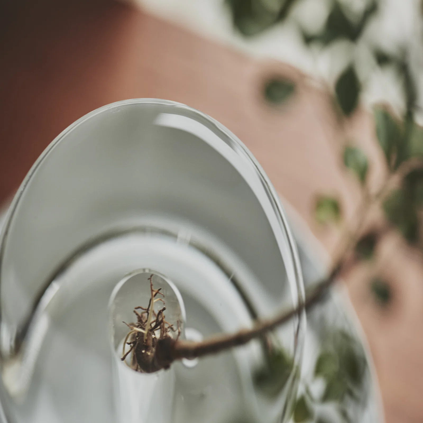 境界線が溶けていく。水と花器、植物が一体となるフラワーベース 