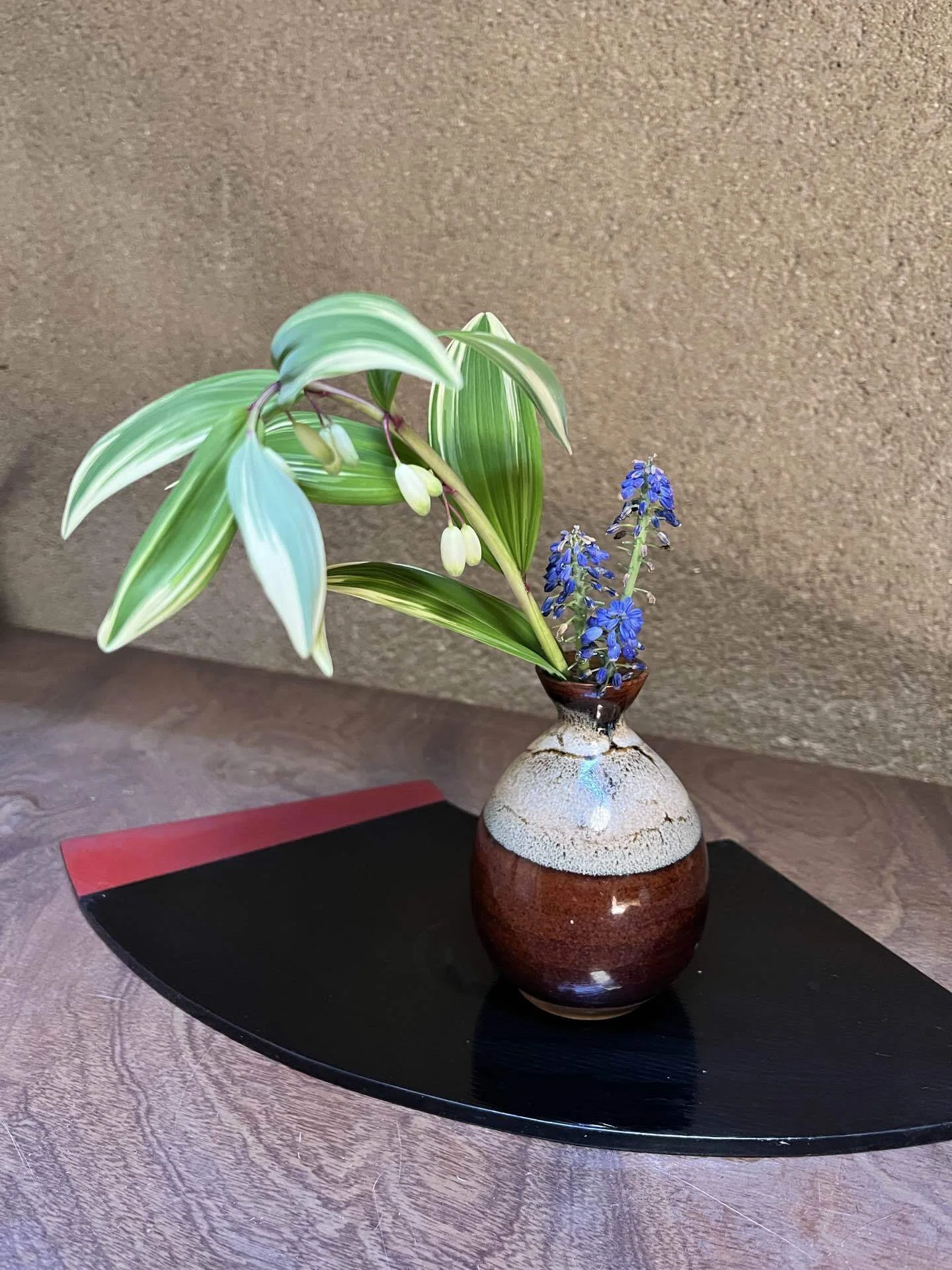 茶花の密かな愉しみ｜京とき