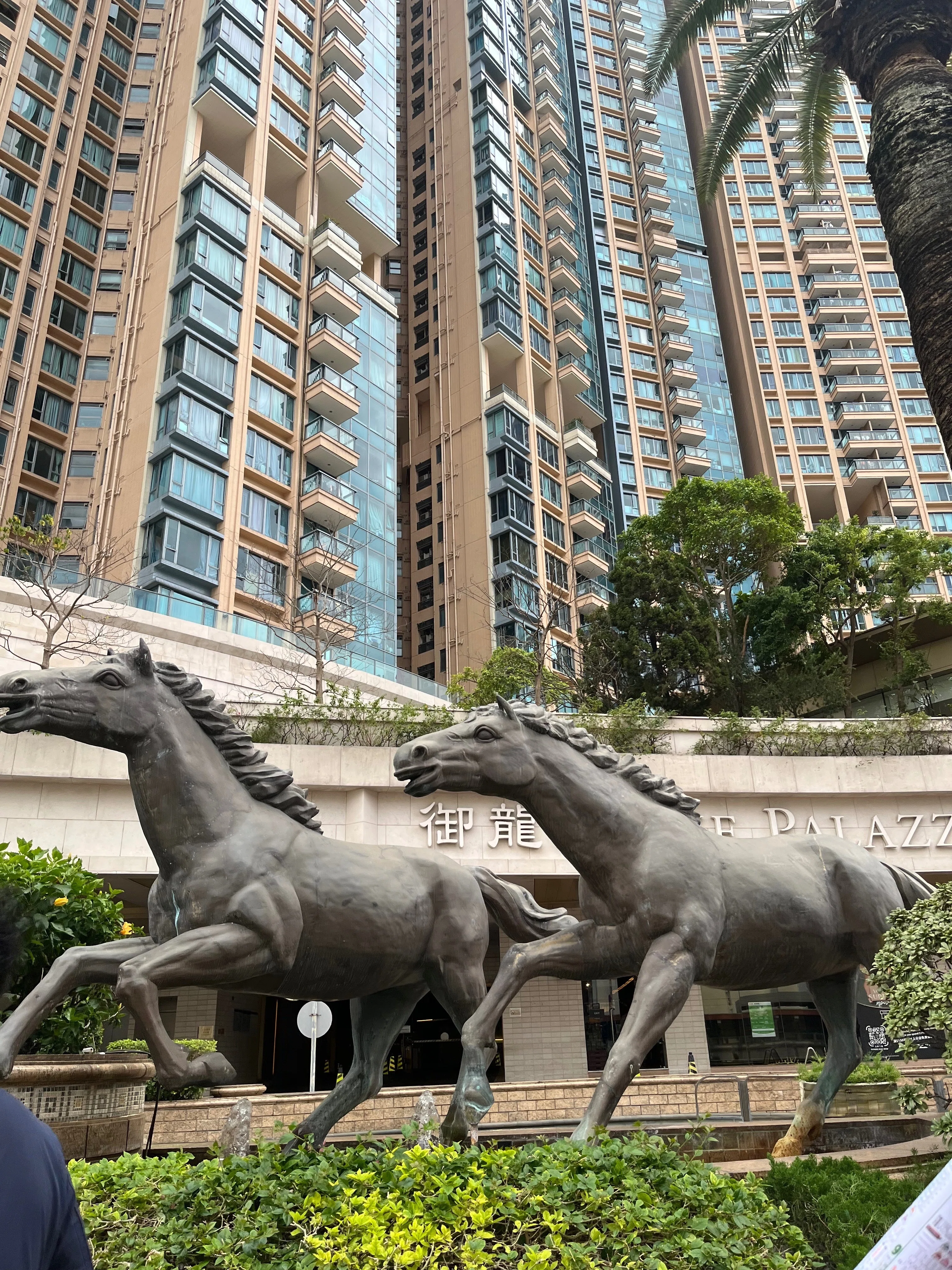 女一人で香港国際競走へ｜お気楽