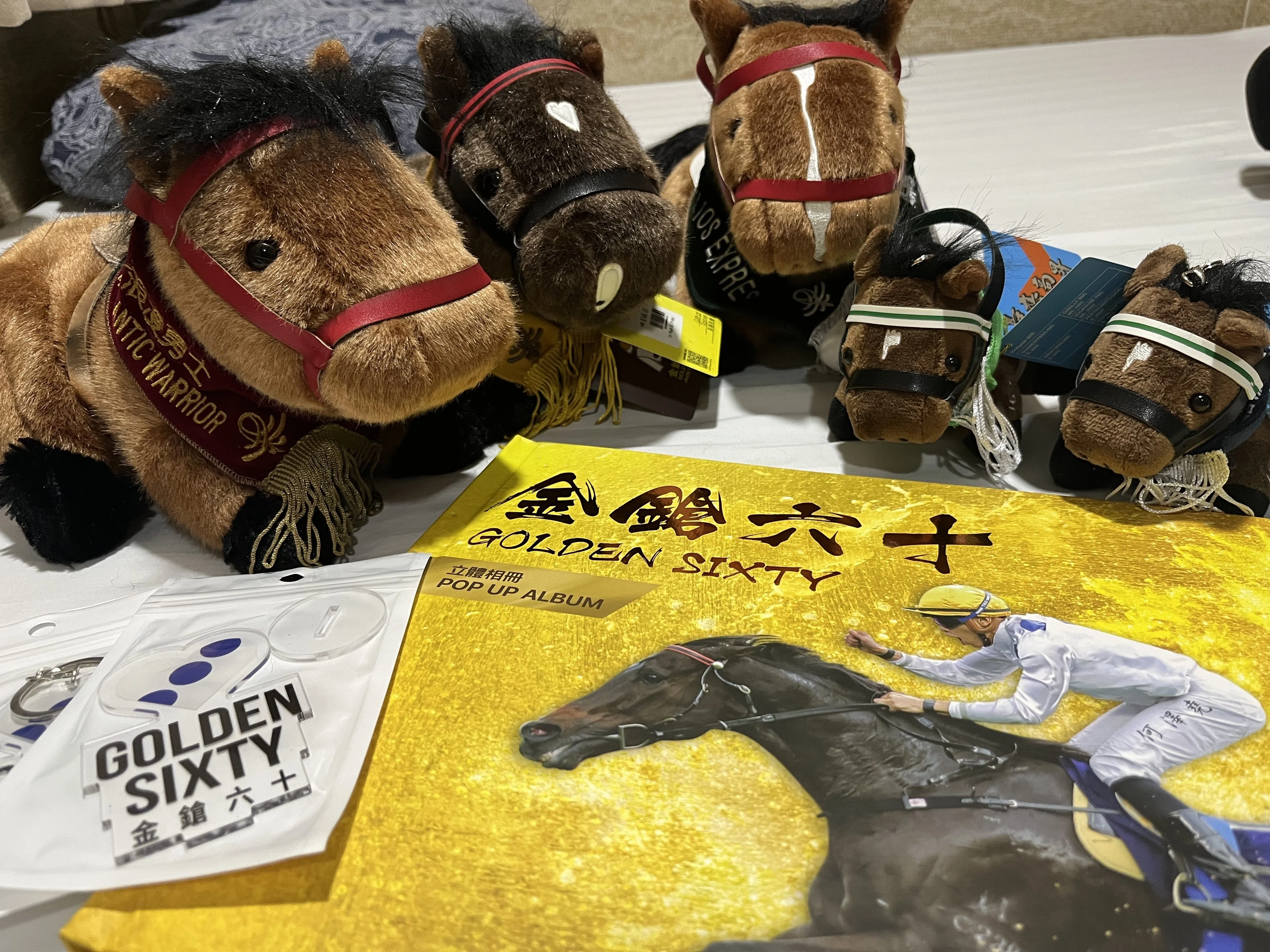 女一人で香港国際競走へ｜お気楽