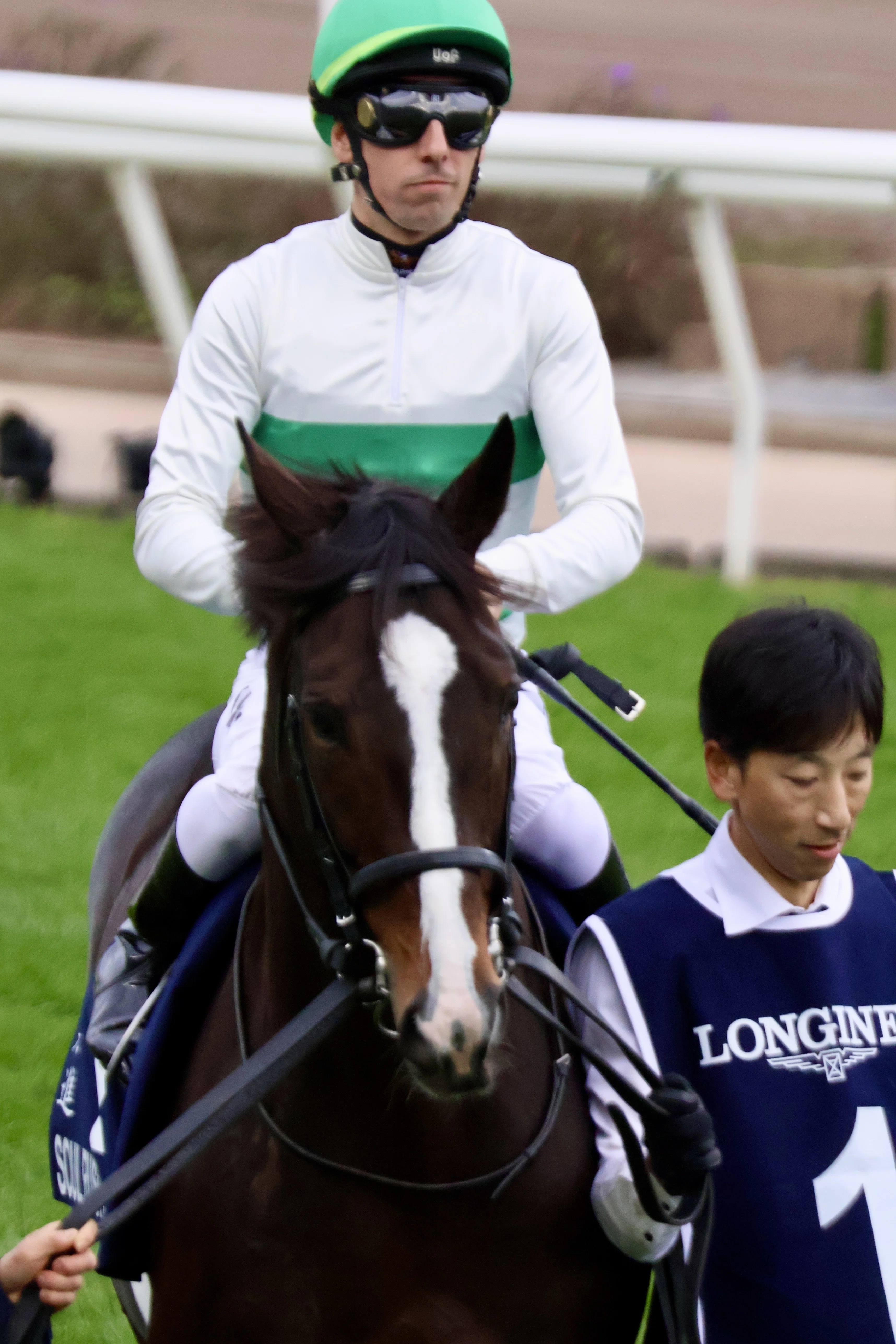 香港国際競馬コレクション 4枚セット 女一人で香港国際競走へ｜お気楽