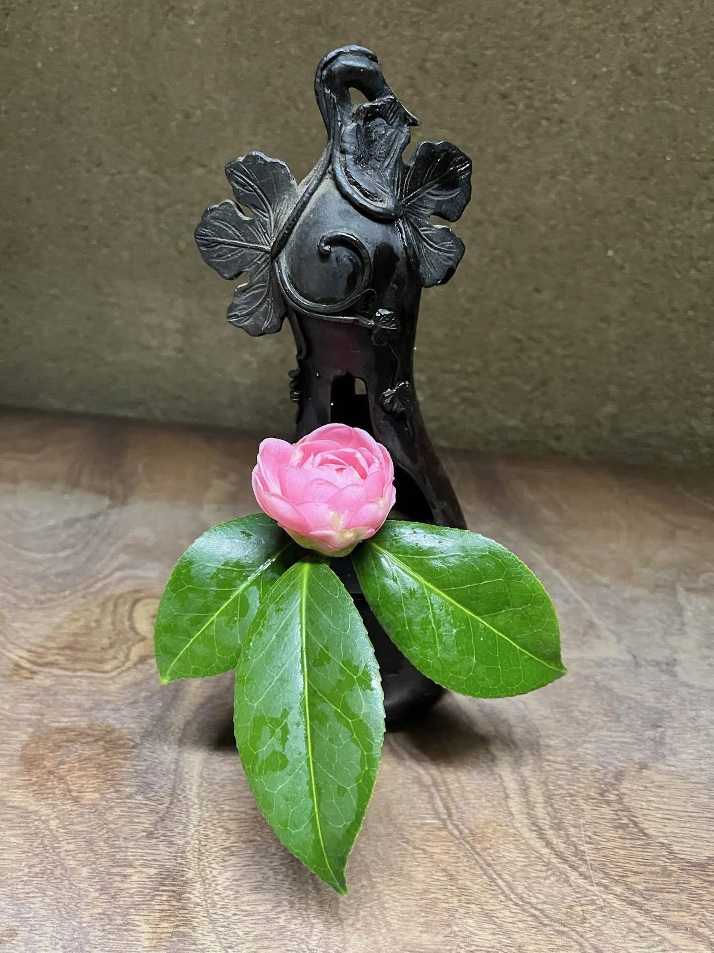 茶花の密かな愉しみ｜京とき