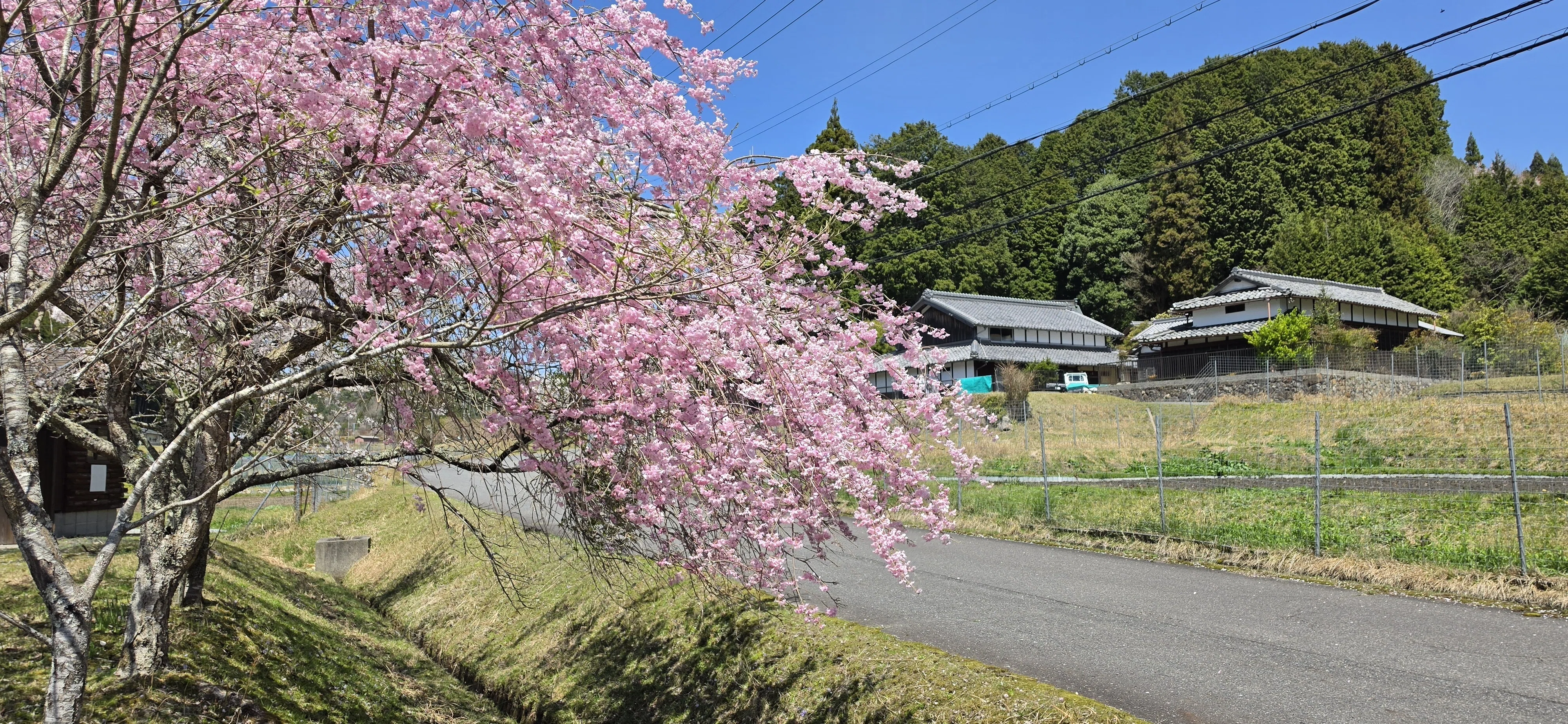 007 【おむの旅日記】 4.10-4.11星から始まって、春に導かれた滋賀旅