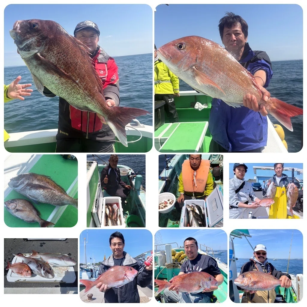 マダイ】最大4.6kg、さらに3.5kg！大型続々ヒット中！｜あまさけや丸