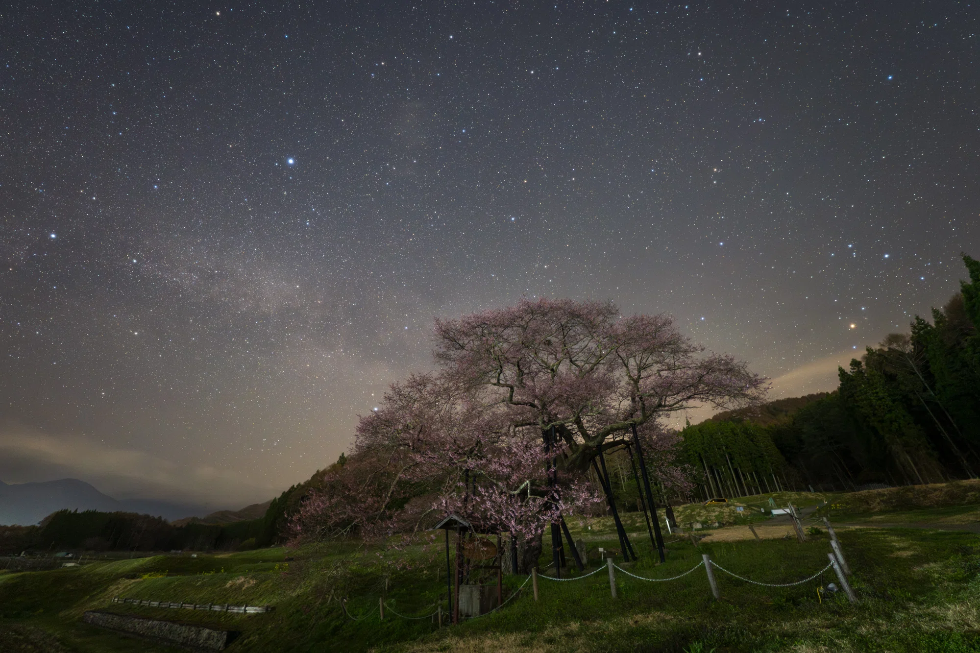 風景 長野県高山村の桜と星空｜星空写真家 × 会社役員 | 「好き」を「得意