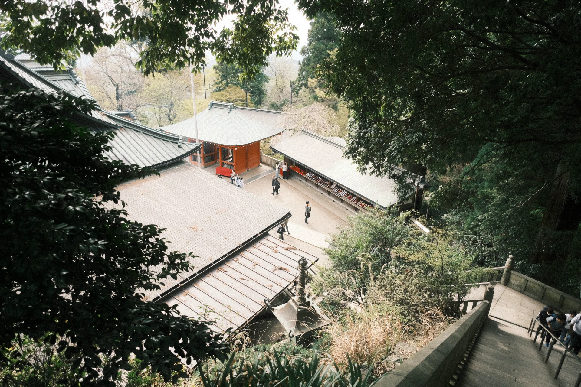 X-E4｜Fujicolor Nature 1600で写す高尾山登山｜koha