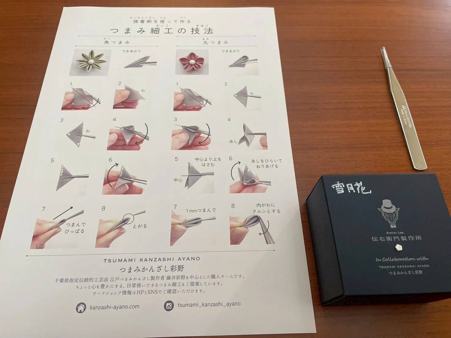 千葉県館山市×つばきファクトリーFCツアー ～キャメリア館山物語