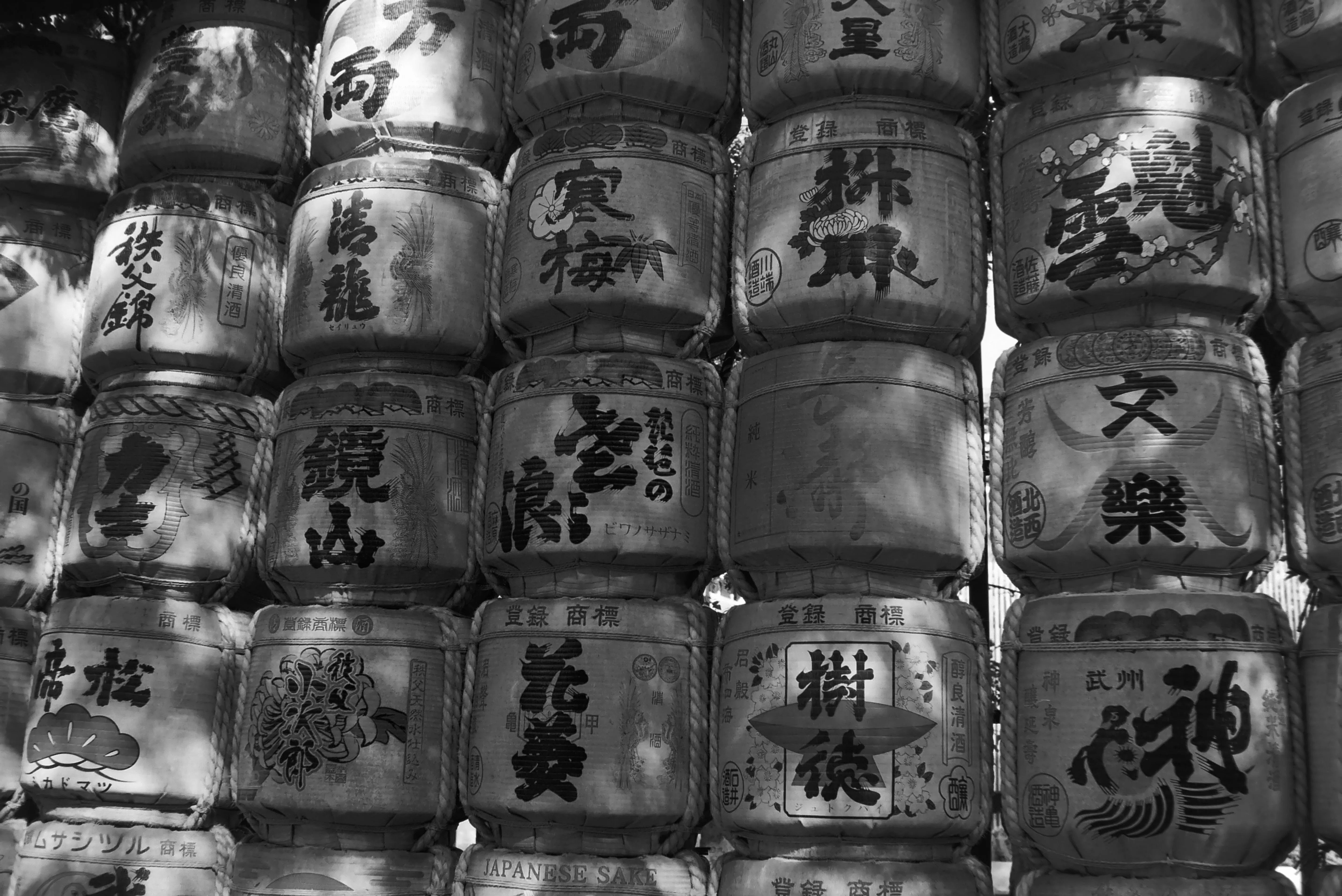 極私的写真講座」45 カラーフィルムを！｜関幸貴