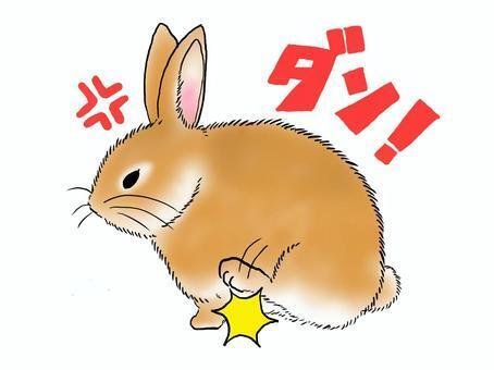 早い物がち　おやつつけますうさぎ飼う人オススメ 公式】ジェックス GEX Small Animal🐰 | 【🐰いつものおやつ時間を