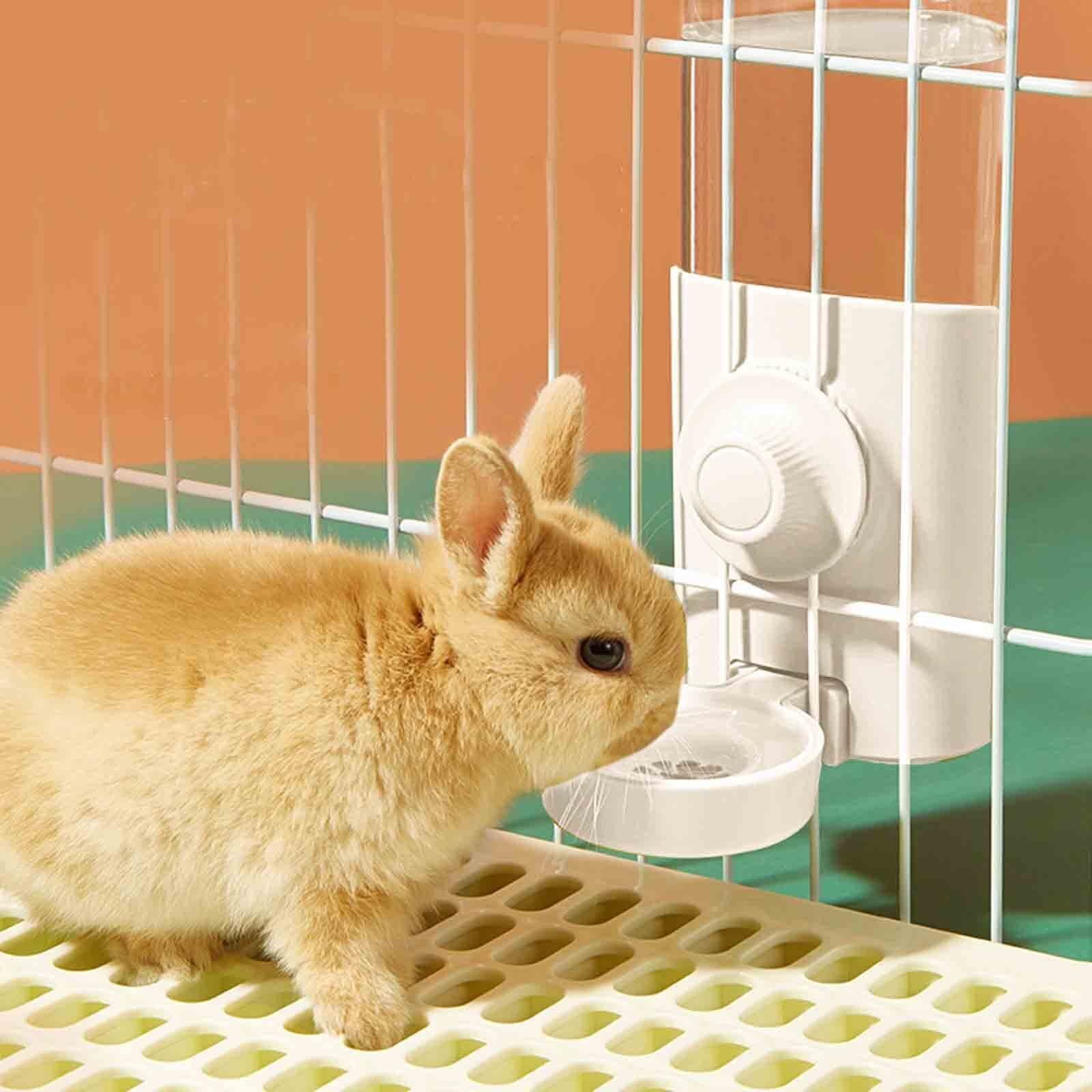 これからうさぎを飼いたいぞ！という人のための入門書｜ほんたん