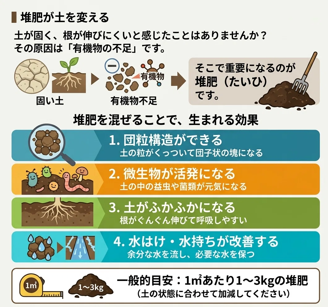 24 家庭菜園の成功率を劇的に上げる土づくりマニュアル｜ホムセン店長
