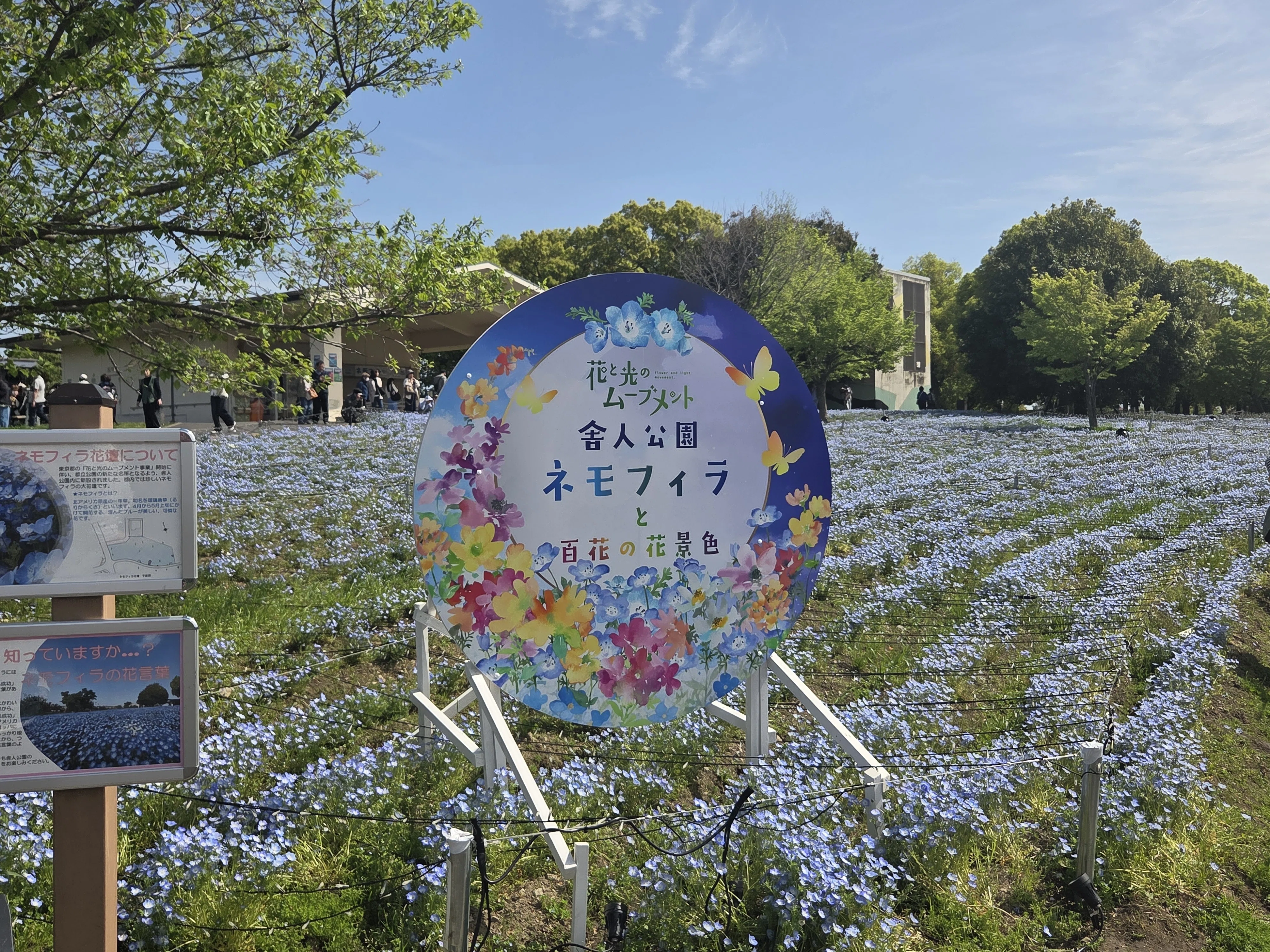 No.2【桜が過ぎても大丈夫】春が来た！ホテルから素敵なお花を見に行