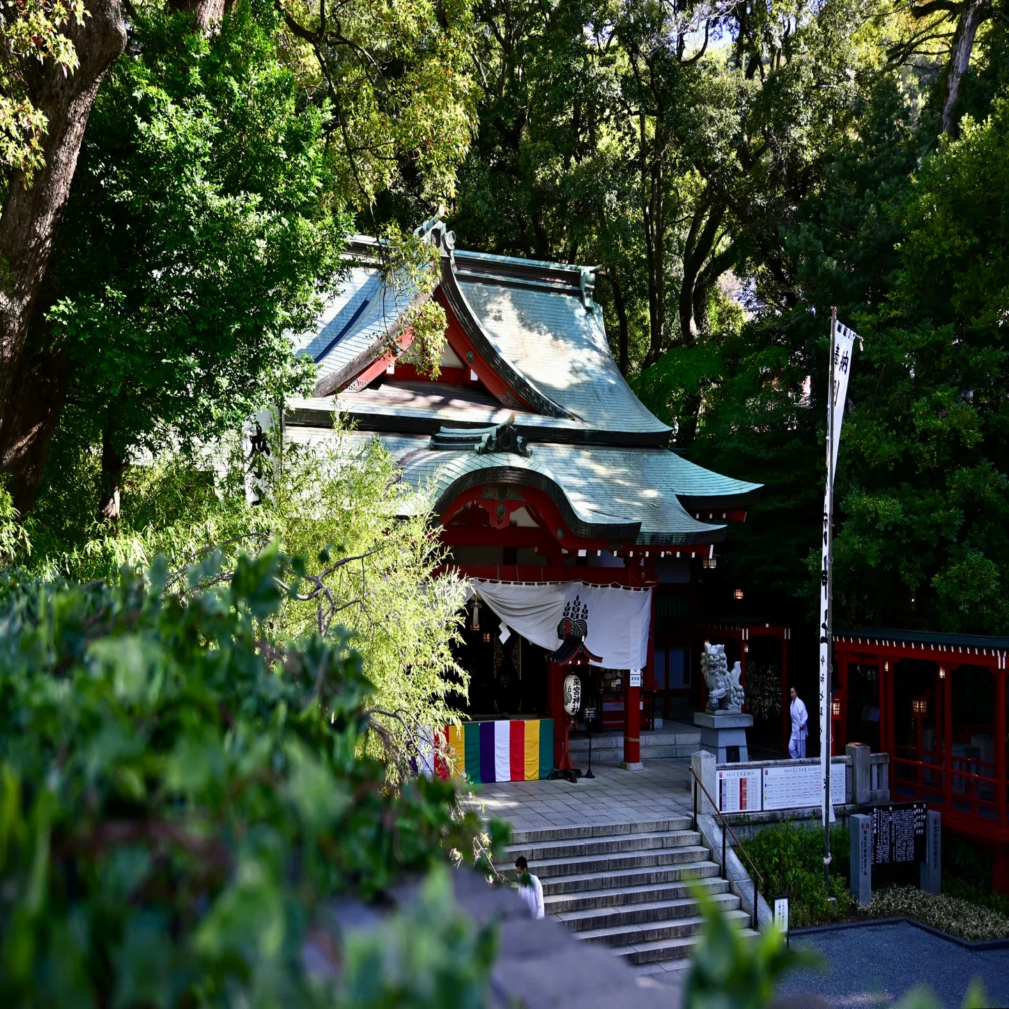 日記】カメラ初心者が熱海・箱根で撮影旅行した話（Nikon Z50II
