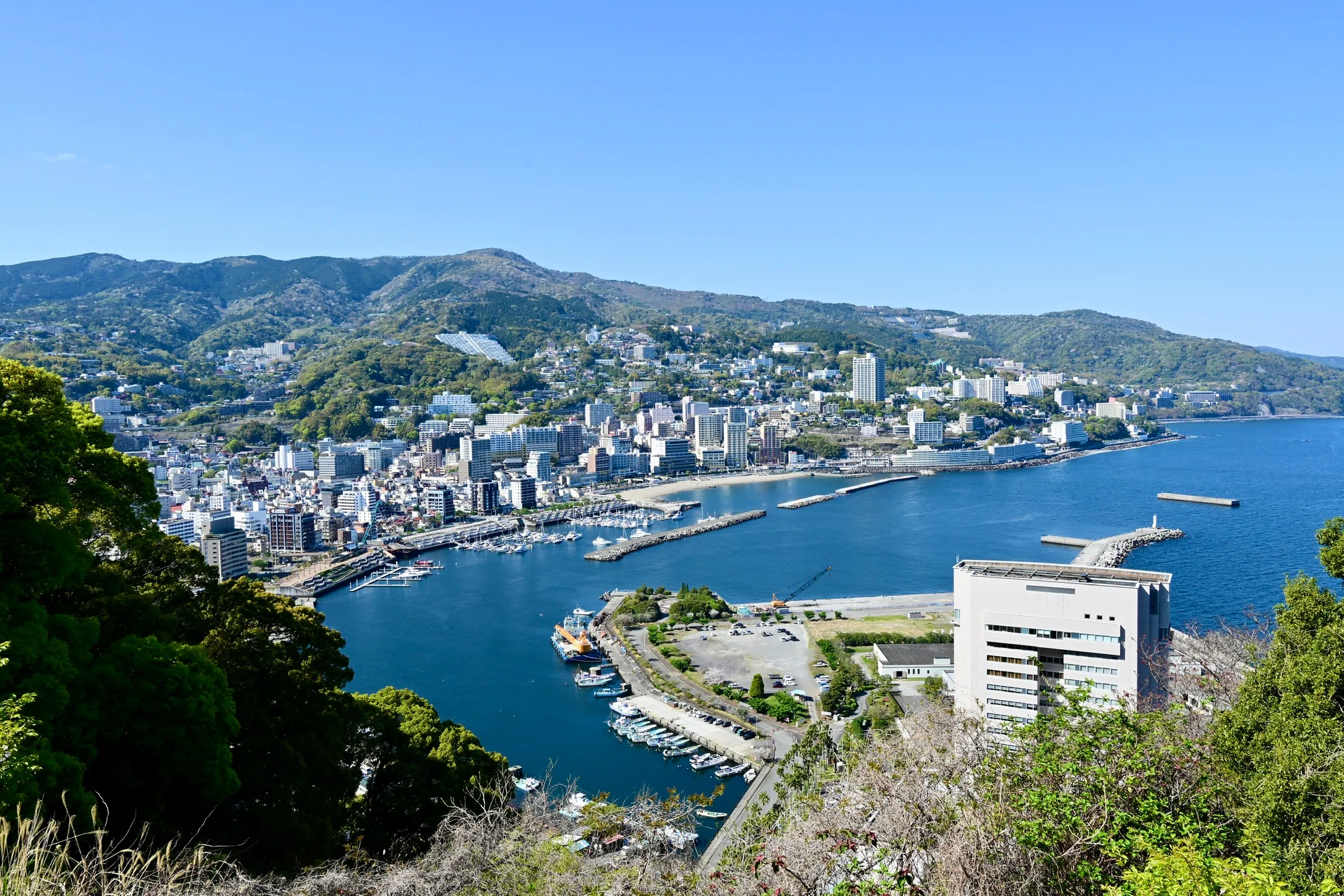 日記】カメラ初心者が熱海・箱根で撮影旅行した話（Nikon Z50II