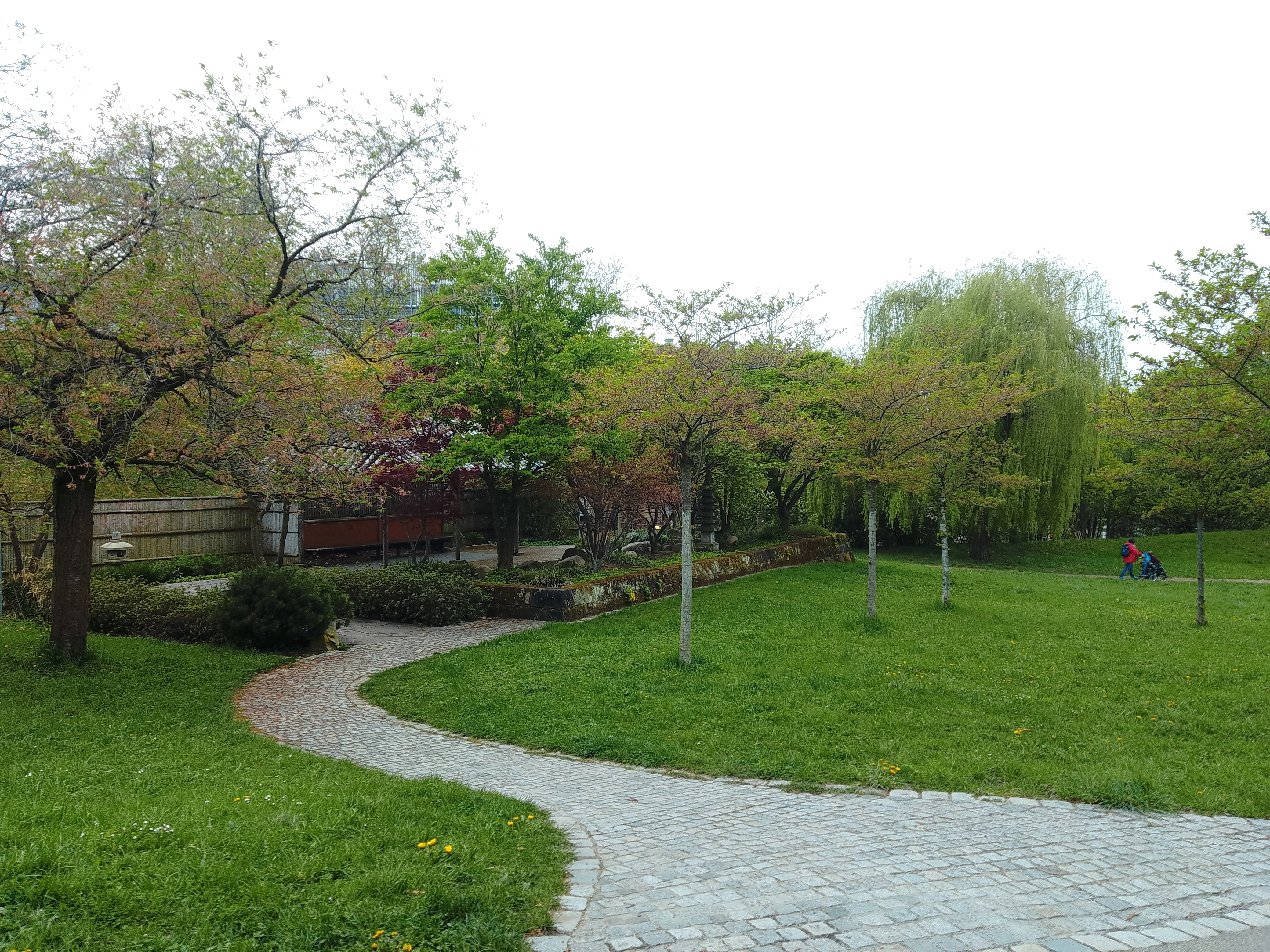 4月上旬。桜が一つも咲いてない日本庭園 in Stuttgart｜キーくん