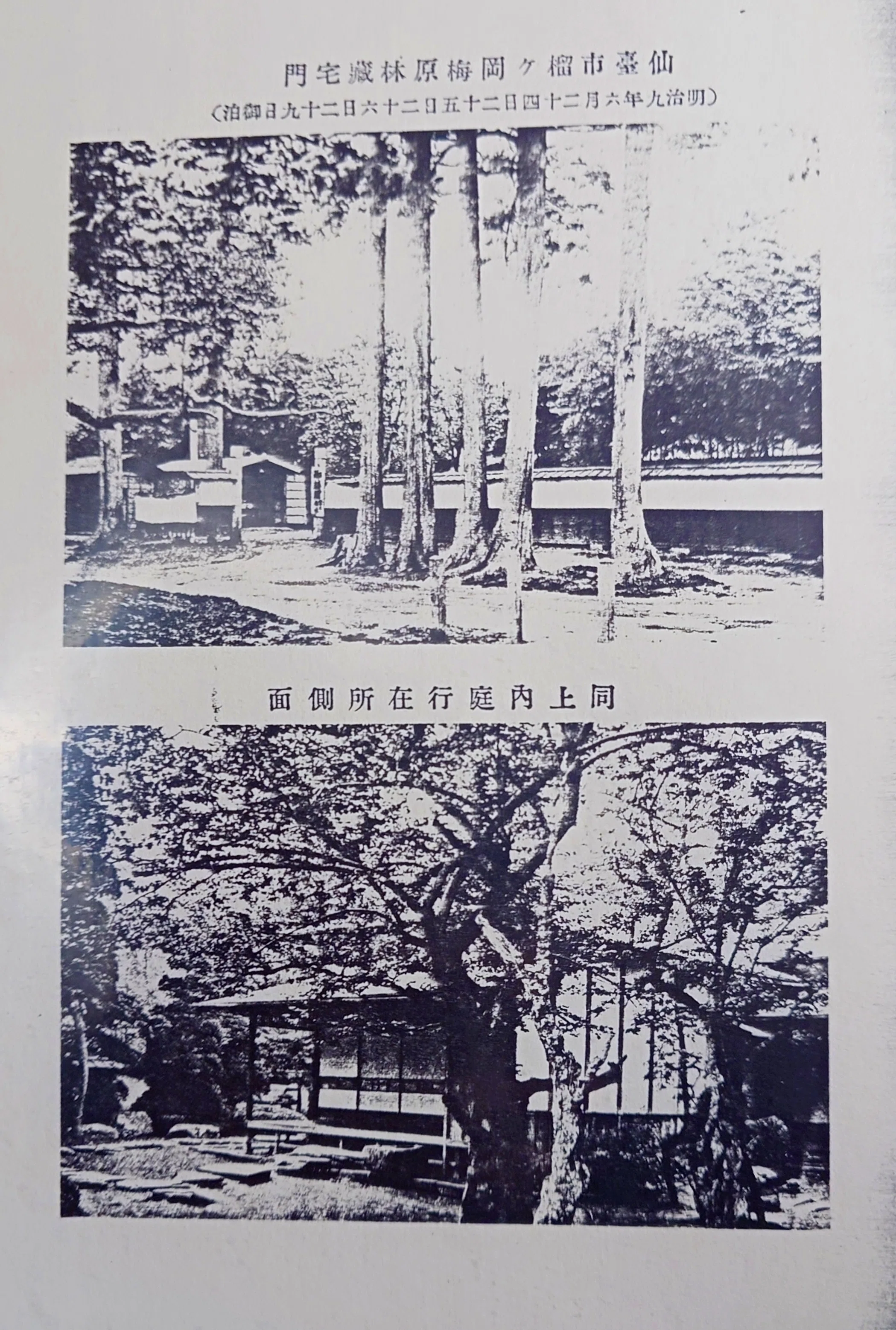 仙臺古談 • ㊶ 『 戊辰戦争考 • 2/4 』｜宗音緒 - MuNeO☆ttO -