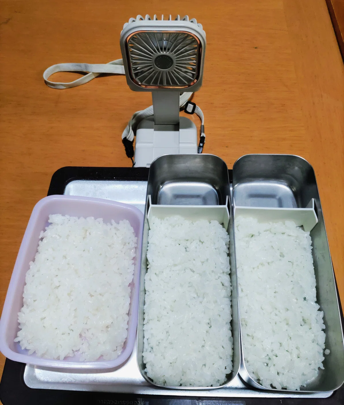 アイス作りだけじゃもったいない!お弁当を爆速で冷ます「裏ワザ冷却術」|虹の森