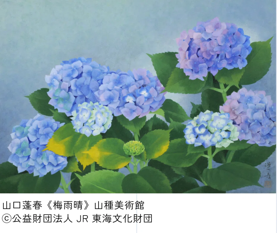 🎨絵画でお花見☺️ in 山種美術館｜はっちゃんLIFE