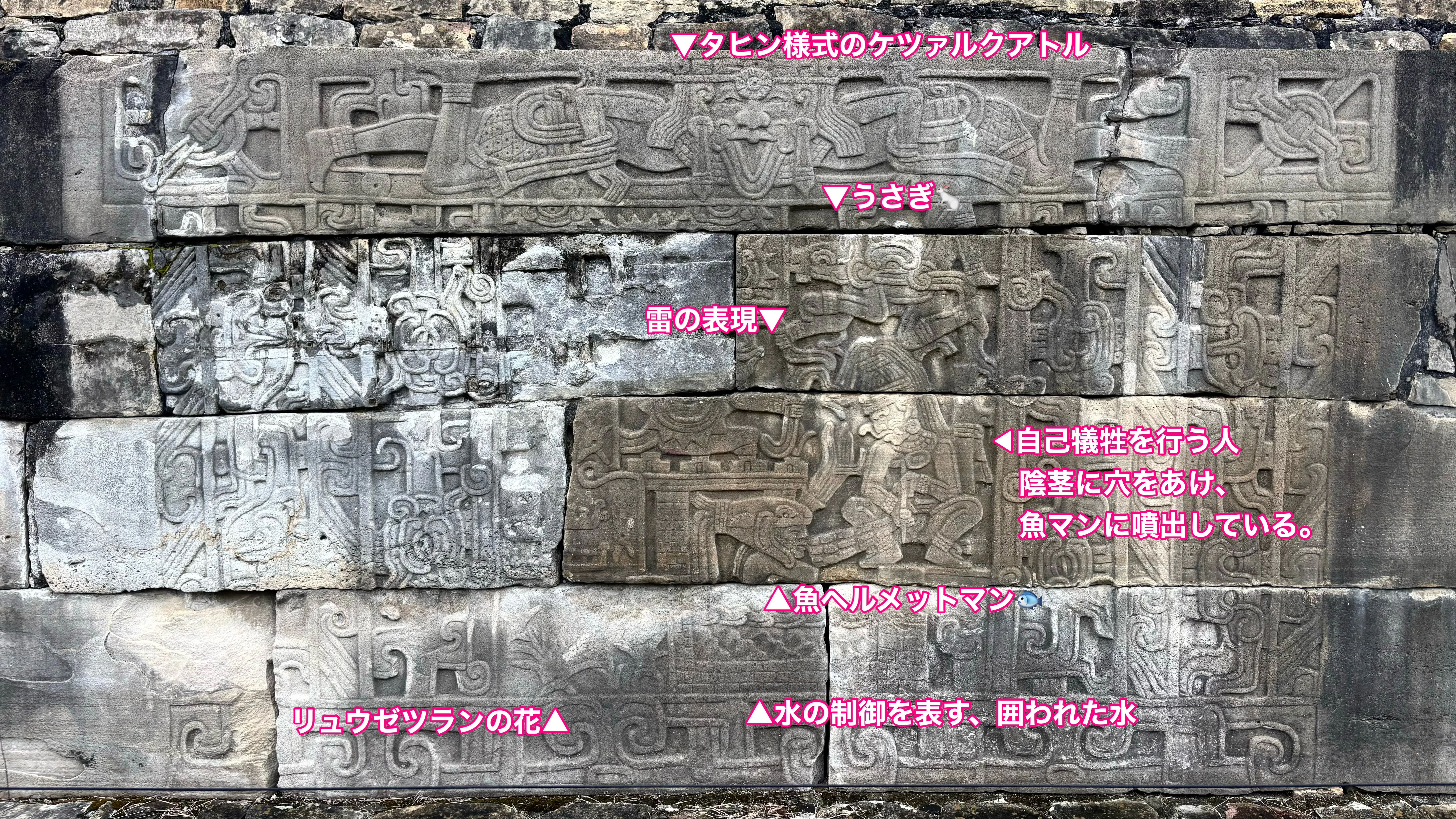メキシコ旅行記🇲🇽エルタヒン編｜オカダ
