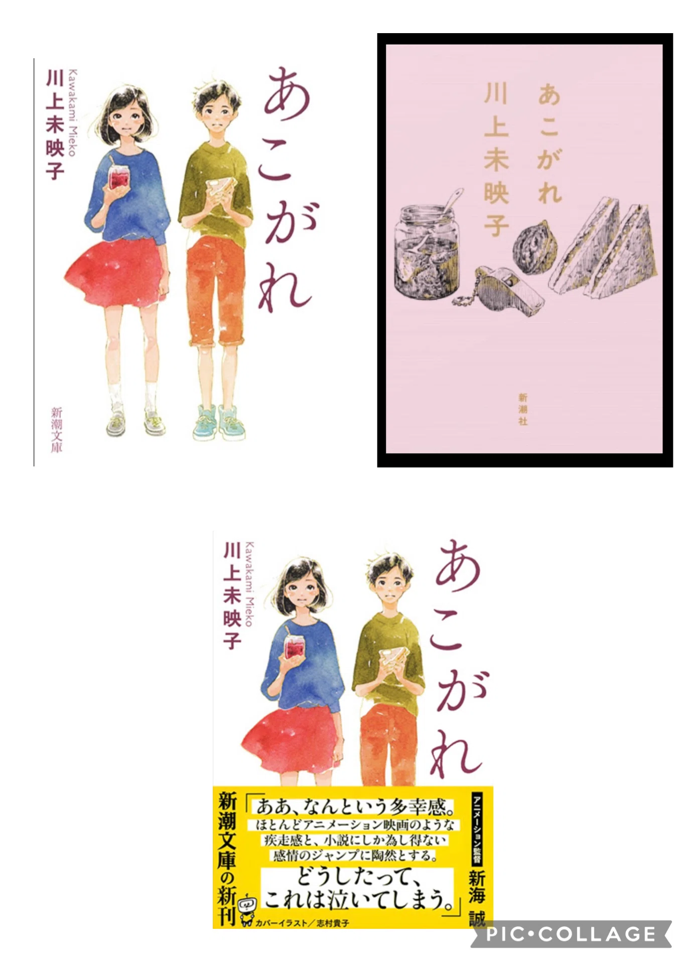 中高生&その頃の気持ちを忘れない方に読んでもらいたい〜川上未映子