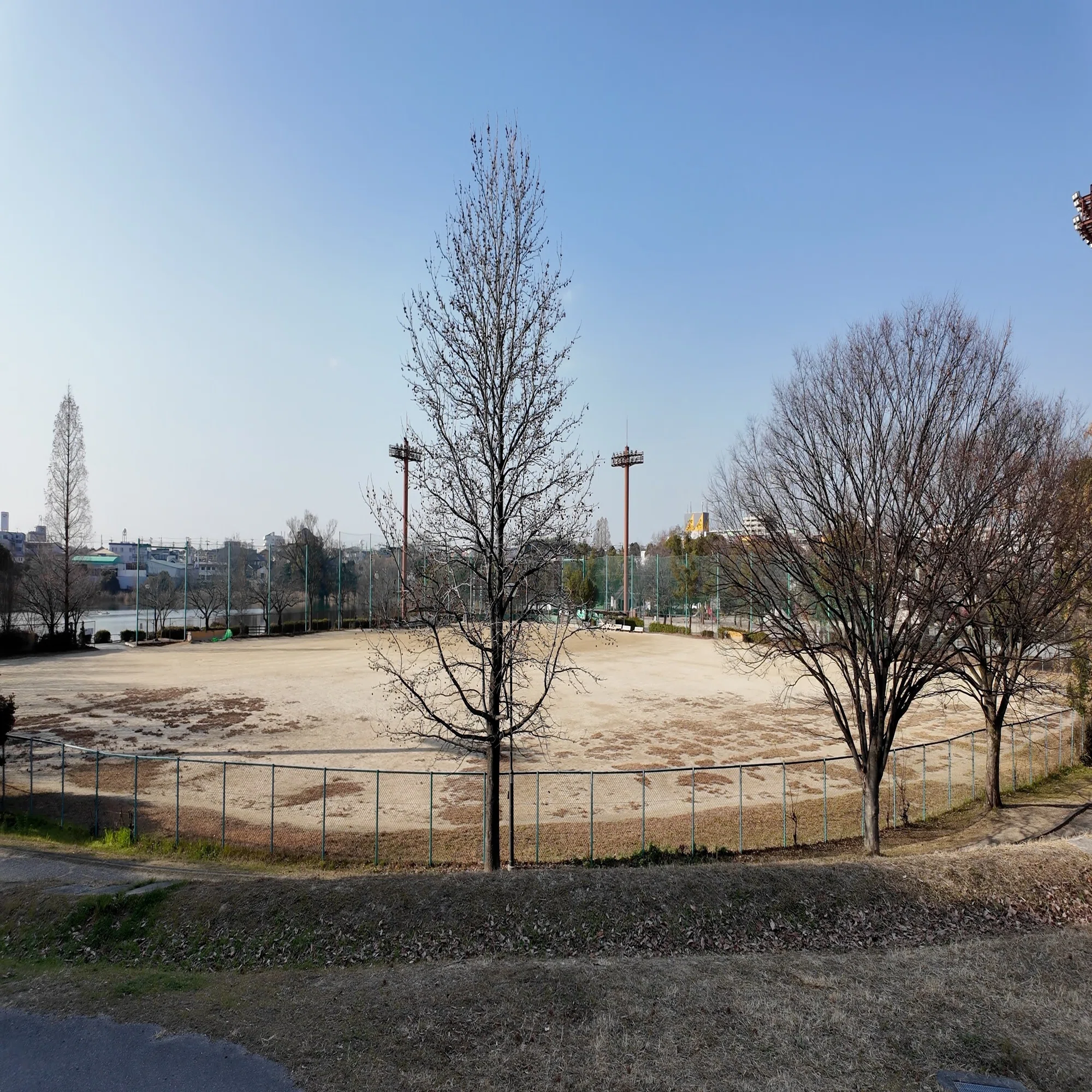 新海 池 公園