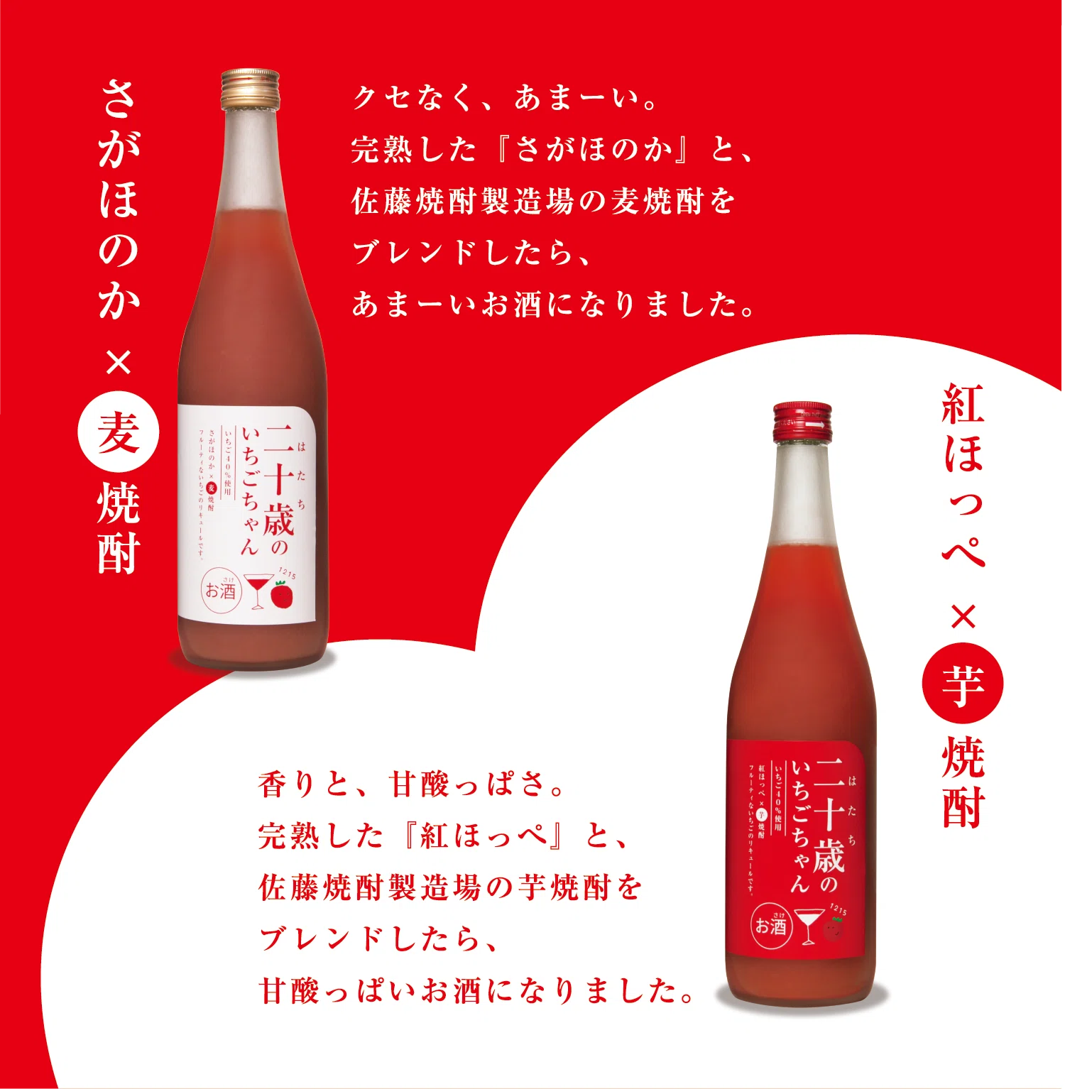 完熟いちご×本格焼酎！🍓「二十歳のいちごちゃん リキュール飲み比べ