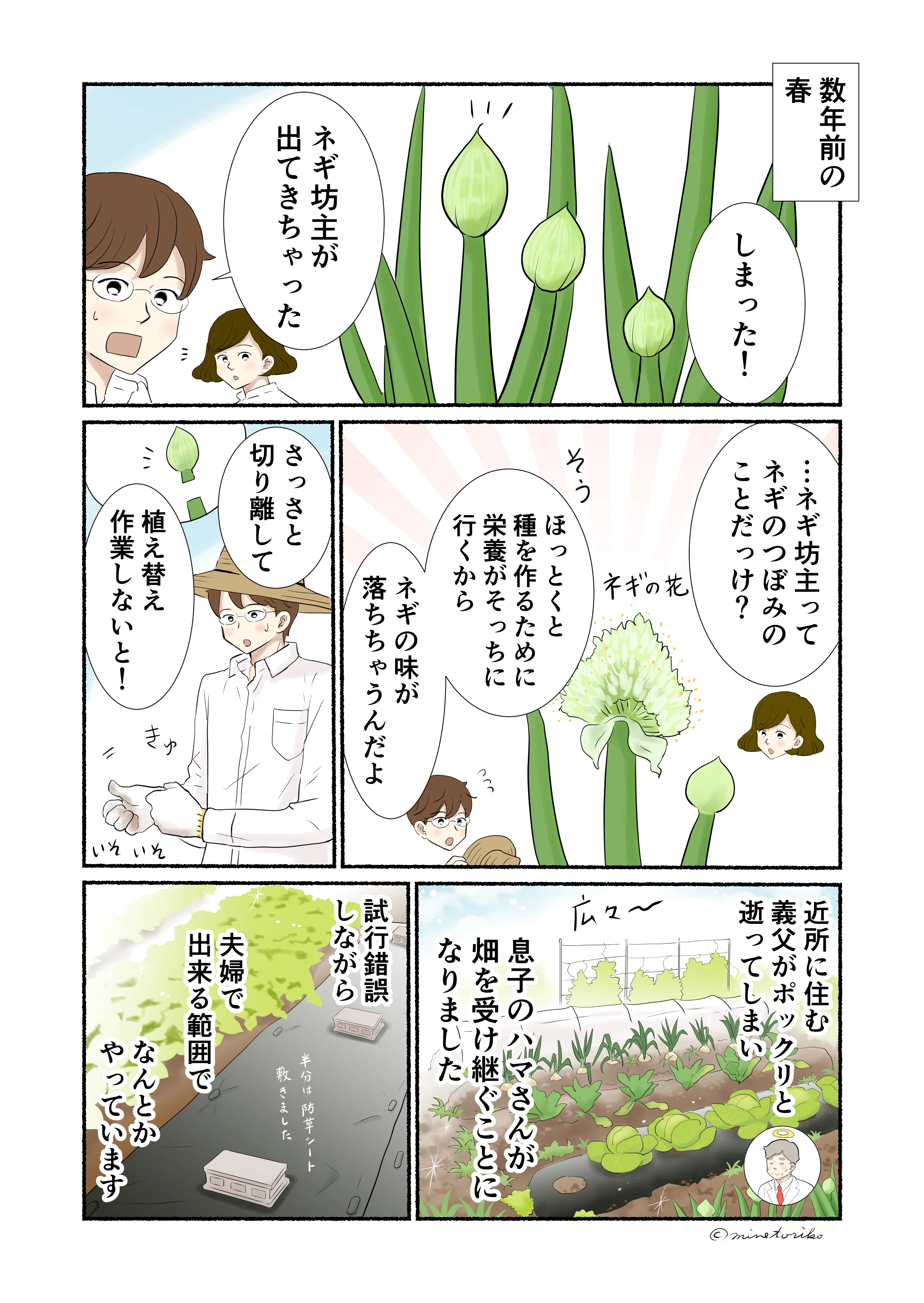 旬菜まんが#13【市場に出回らない究極の旬！「ネギ坊主」を食べる贅沢