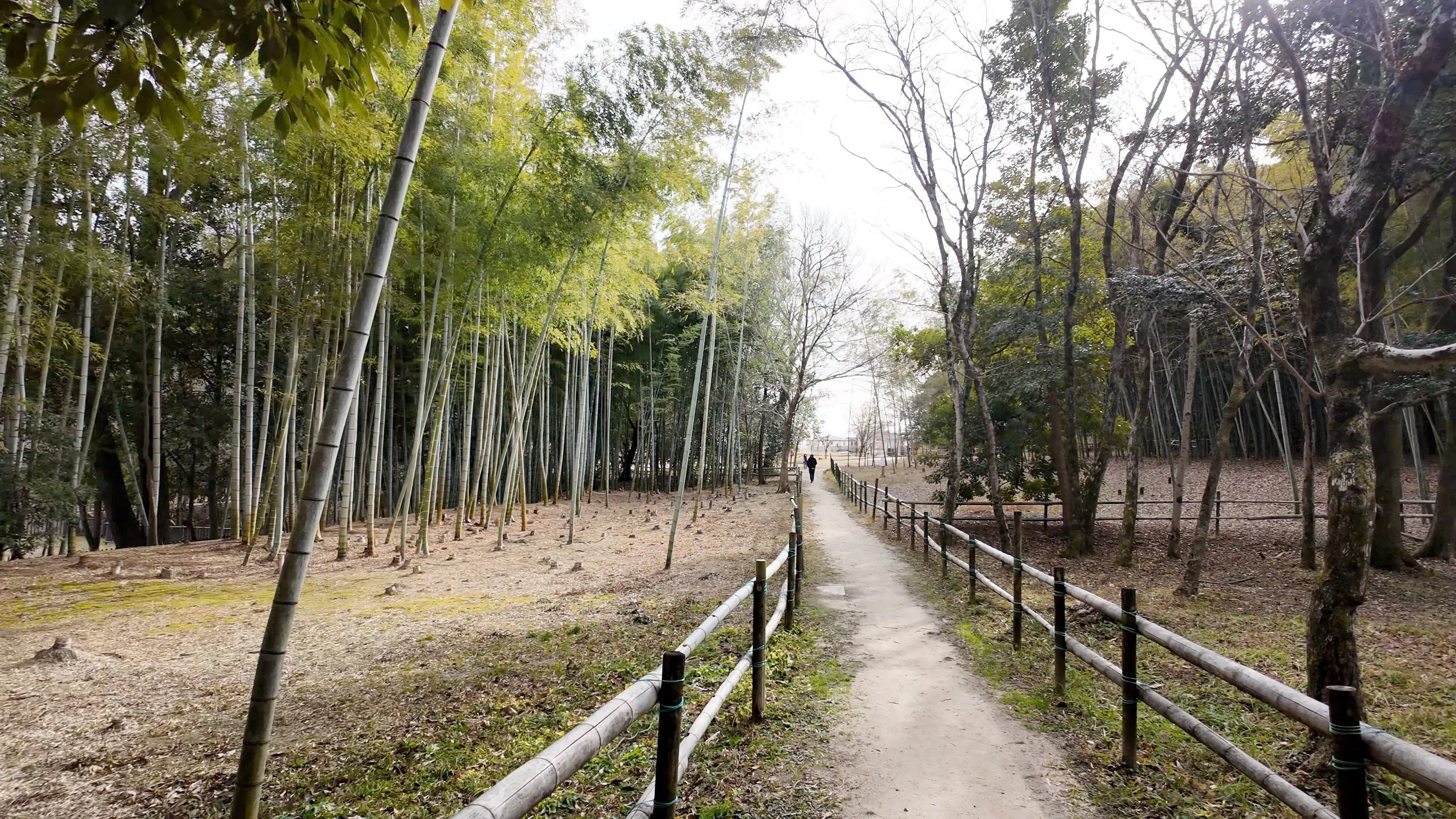 明徳公園】からす山に登って水抜きの池に驚いた — 1月の名東区散歩