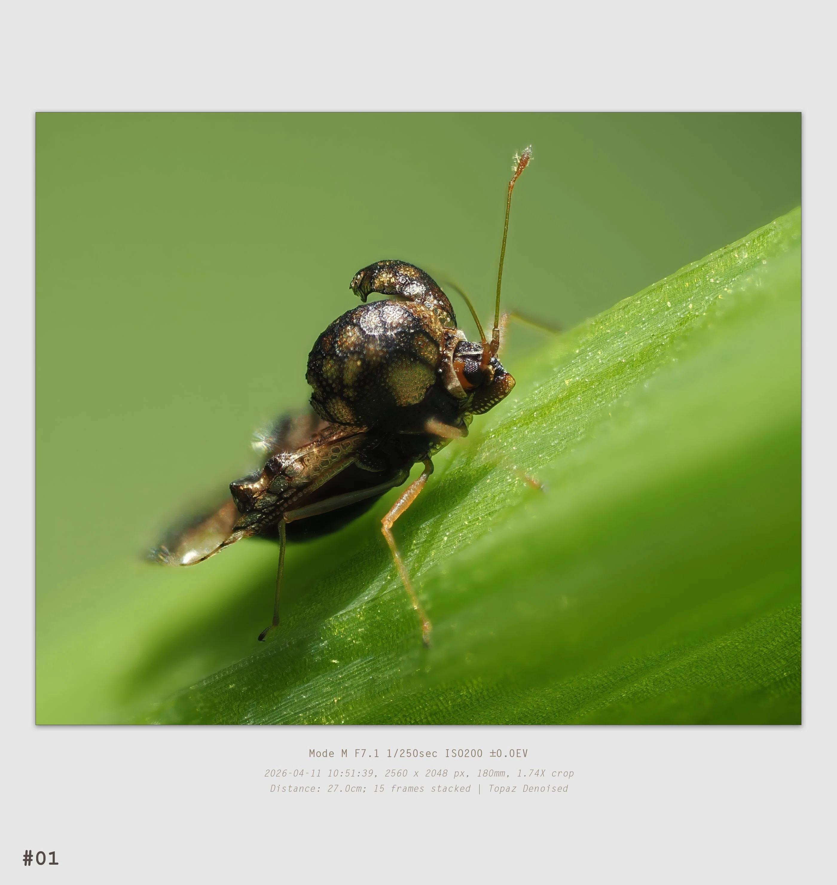 Nature Watch 2026-04-11｜t.koba