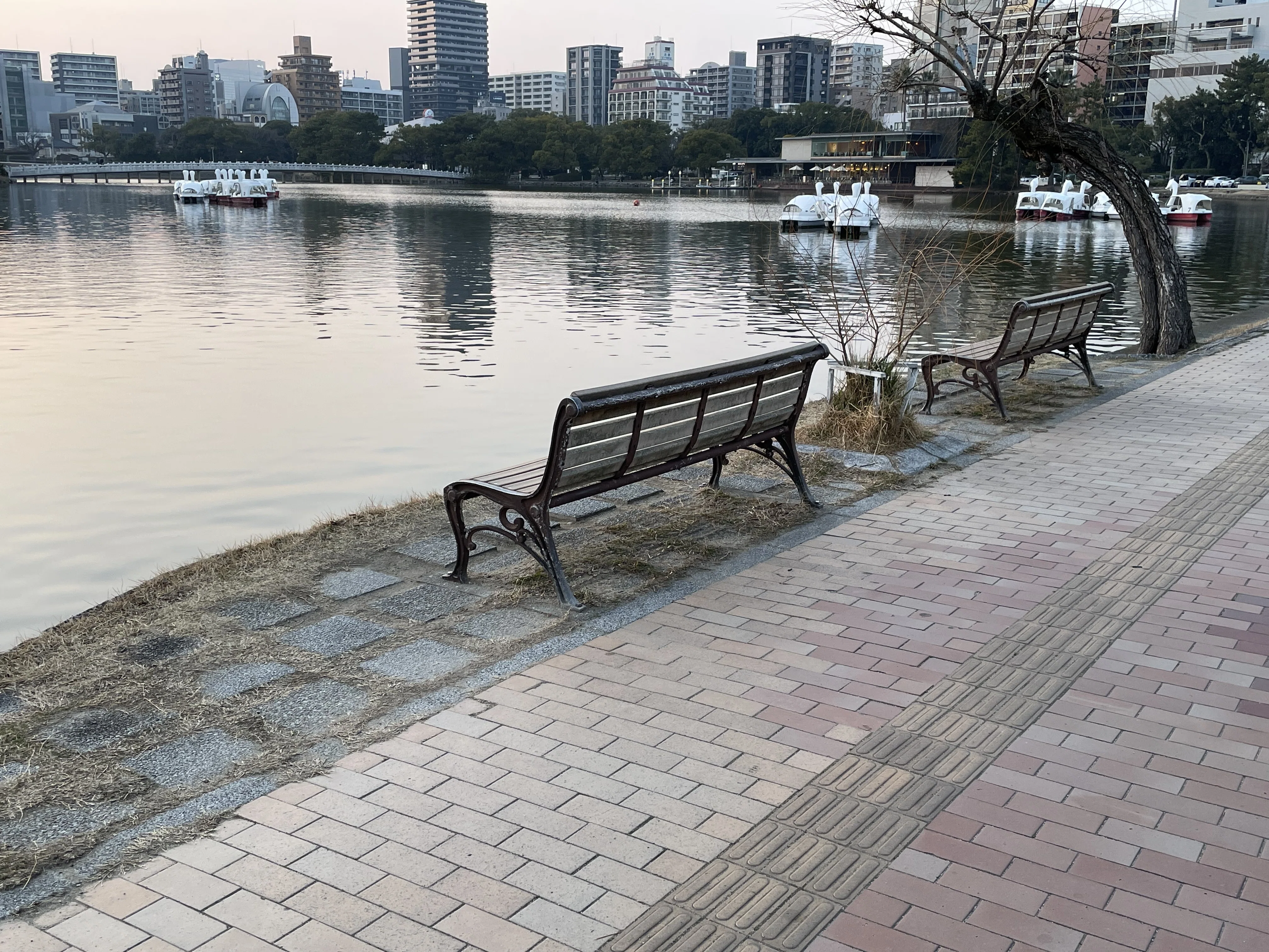 大濠公園という素晴らしい公園｜しんじ
