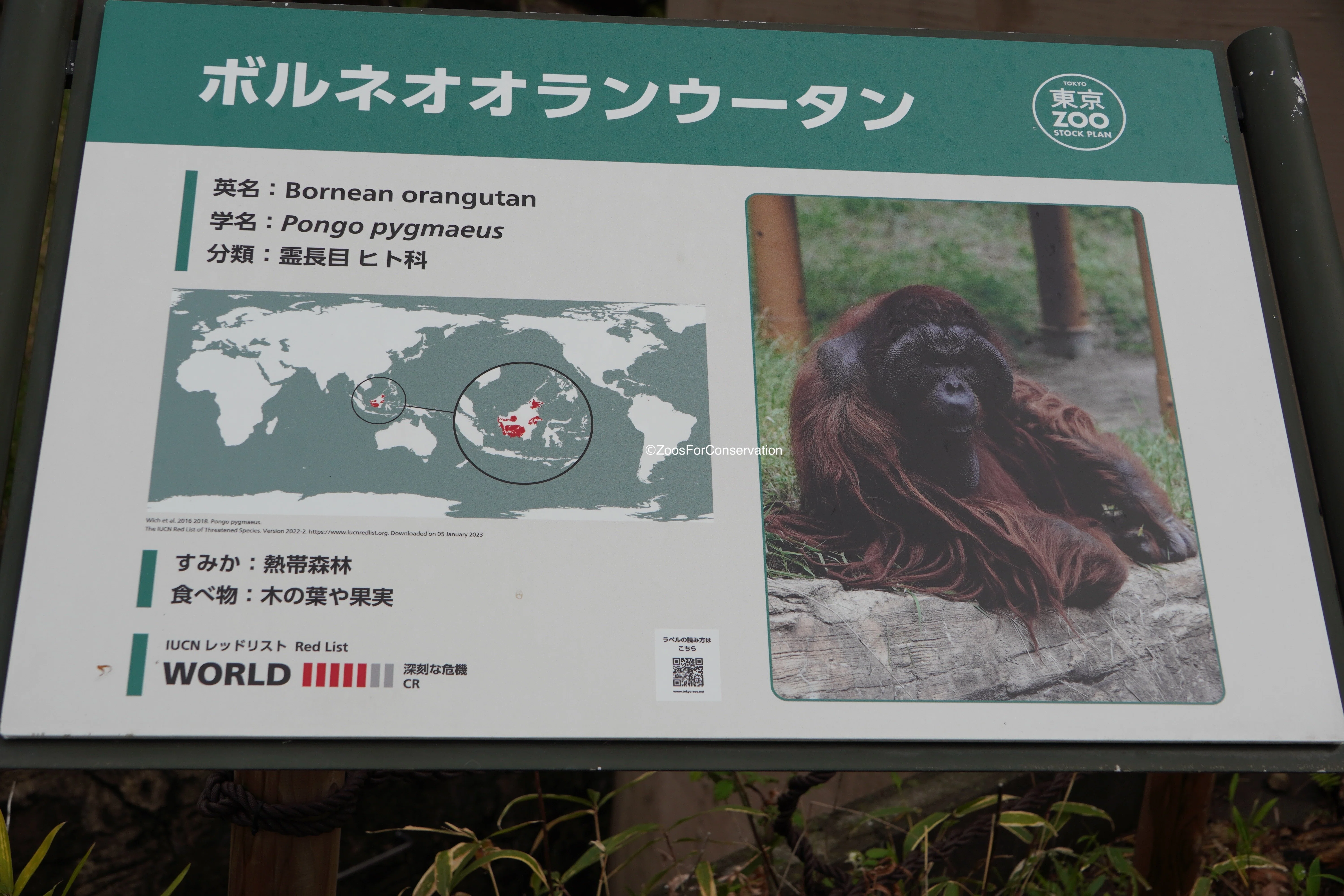 Tama Zoo 202604｜Zoos For Conservation
