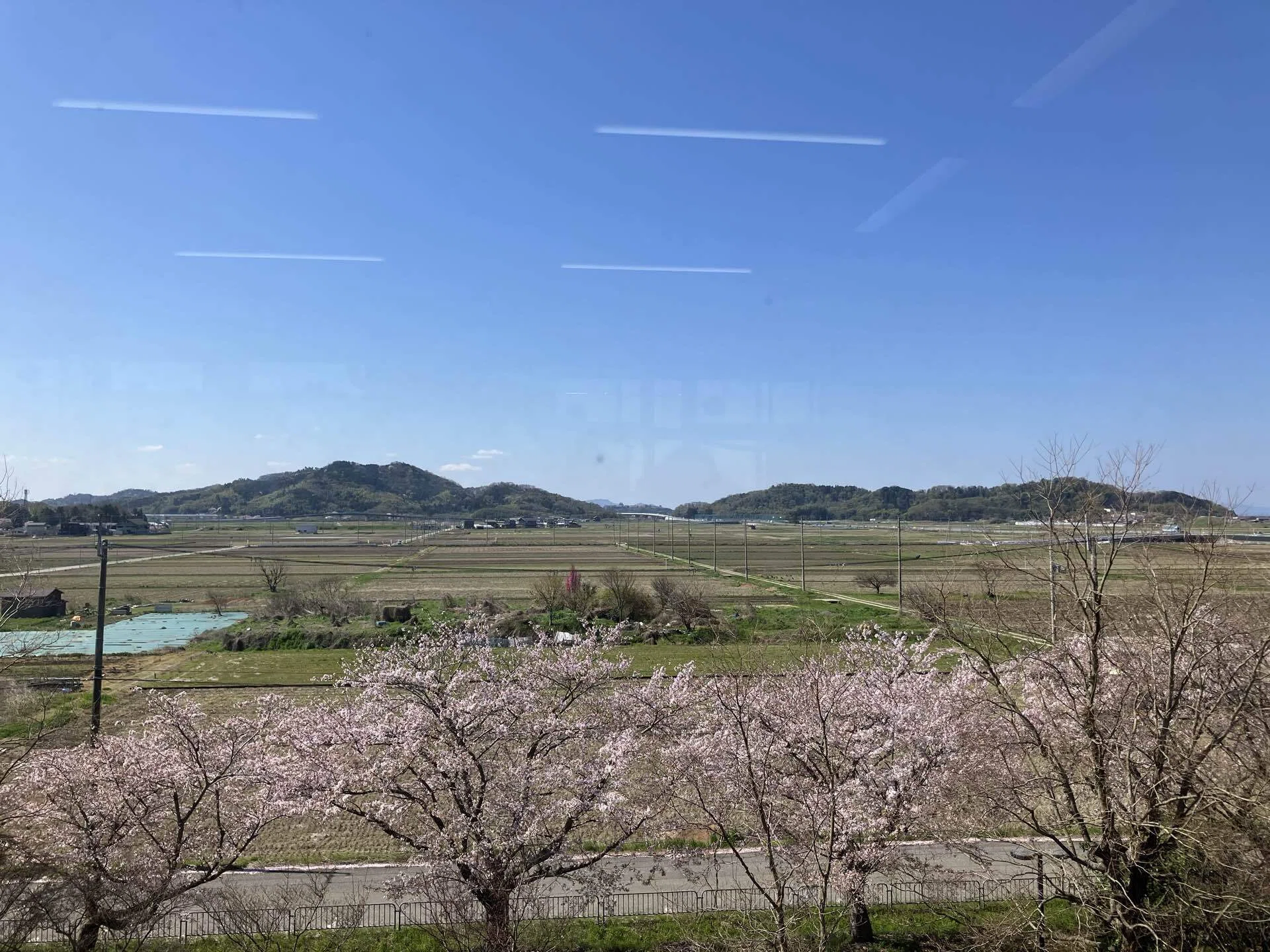 今年の春風景｜アトリエトモコ