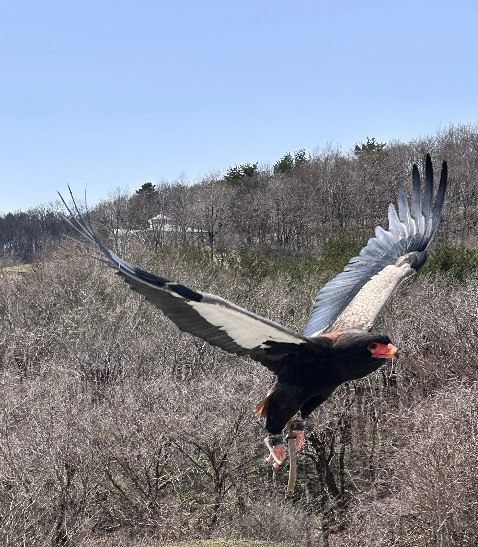 ファームの動物たちを知ろう！｜那須どうぶつ王国公式note