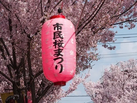 6月26日更新】府中市の四季折々「修景池の蓮」 | 府中観光協会