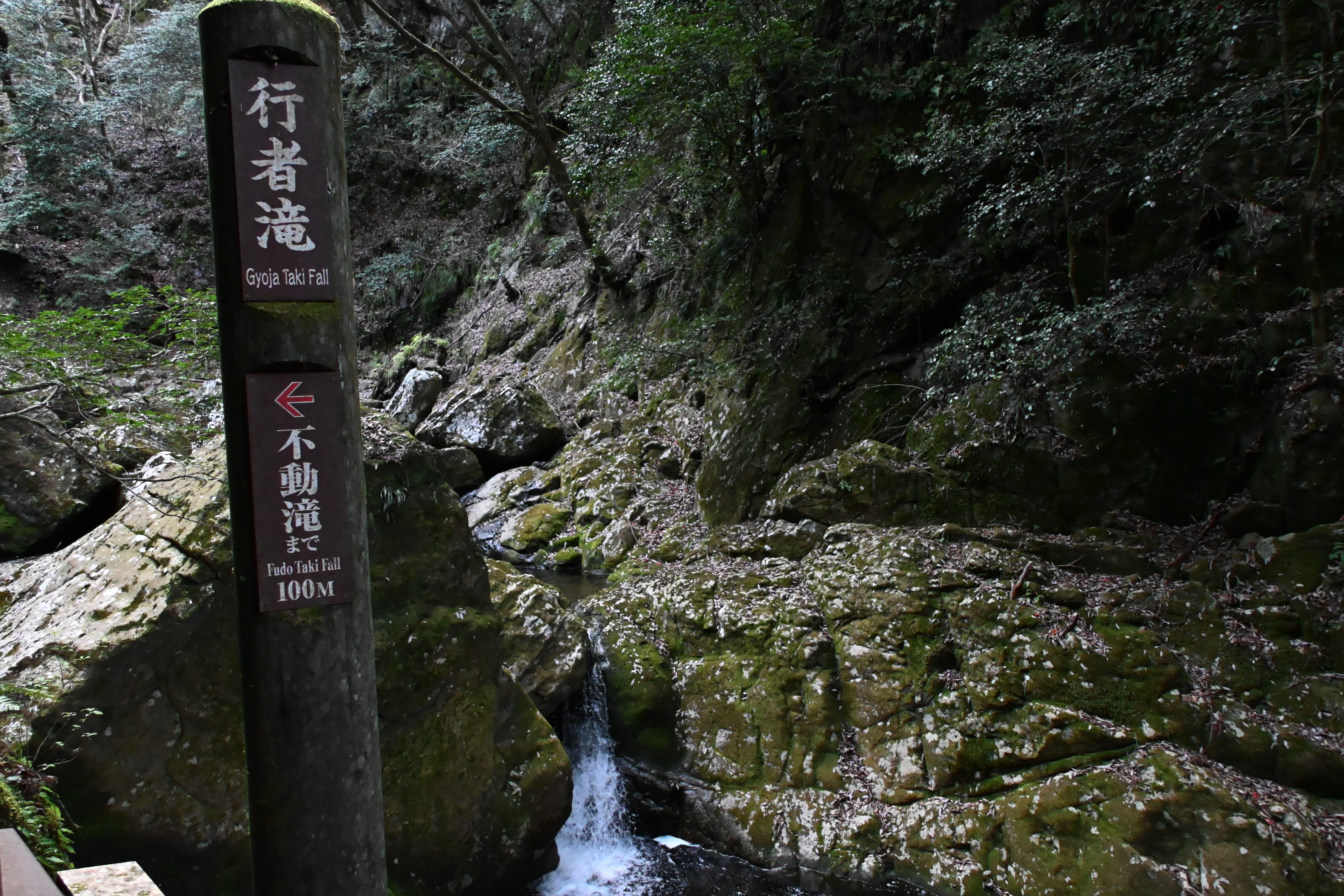 20260412_赤目四十八滝【Nikon Z50IIと観光】｜山ネズミ