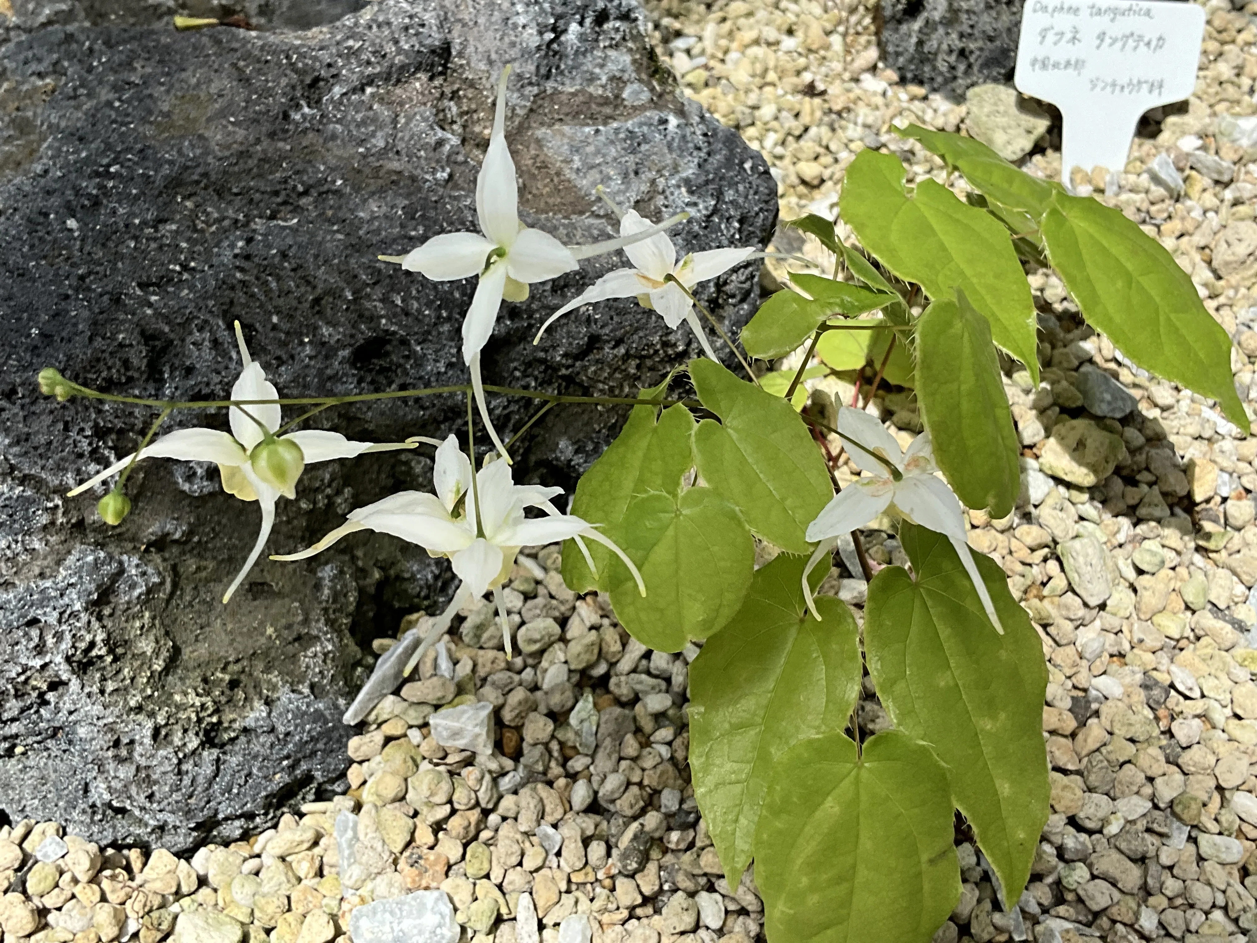 1776126327-