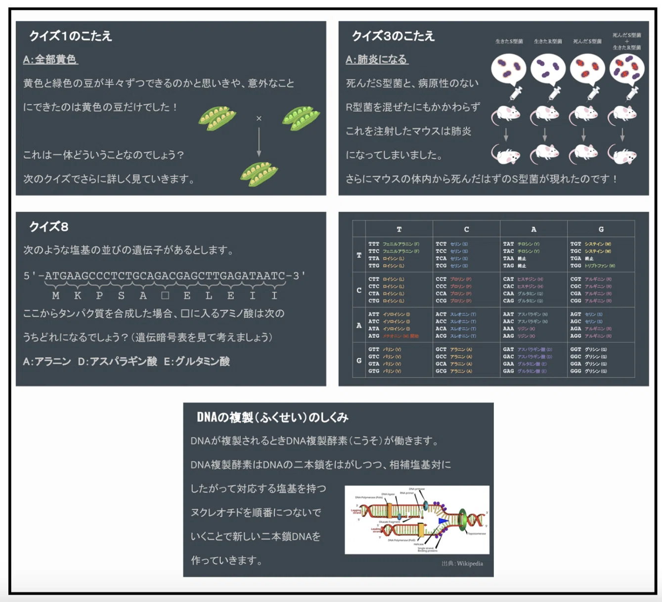鉄緑会 高3生物 夏期講習 未使用 遺伝子徹底演習 2026年最新】Yahoo