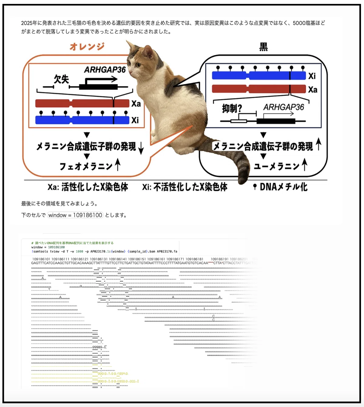 特別講座レポート】小学生と挑む、三毛猫の毛色解析―鈴木彦有と学ぶin