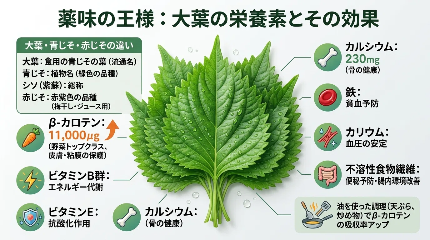 大葉 の 栄養