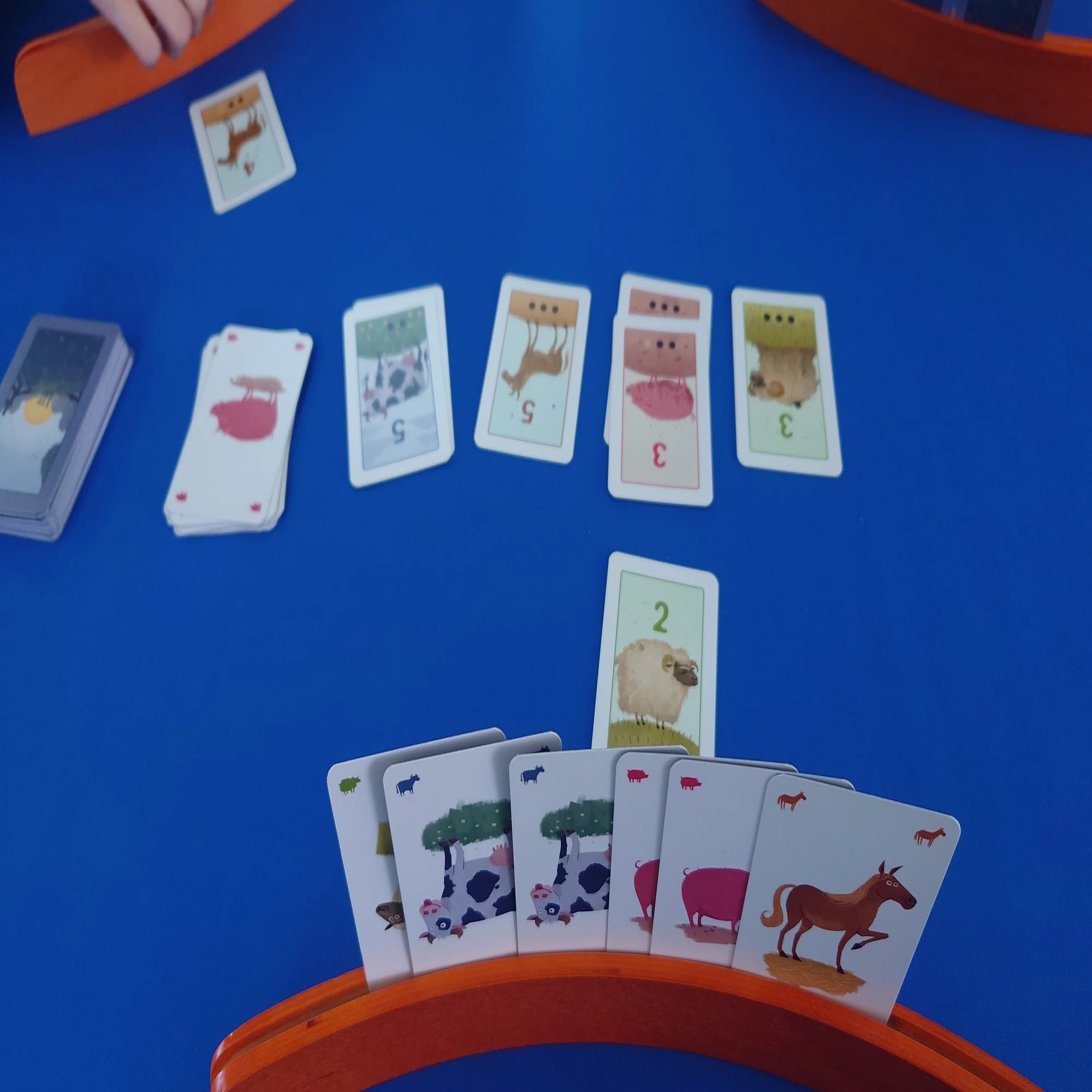 おろかな牛は2回目からが面白く、考えさせられるカードゲーム｜nakajiji